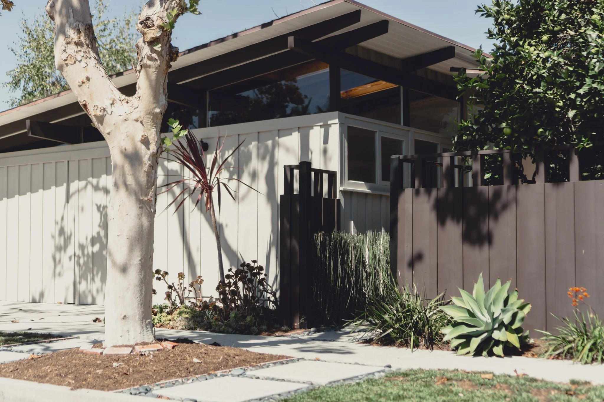 A modern house with large windows, surrounded by trees and plants in a landscaped yard with a concrete pathway.