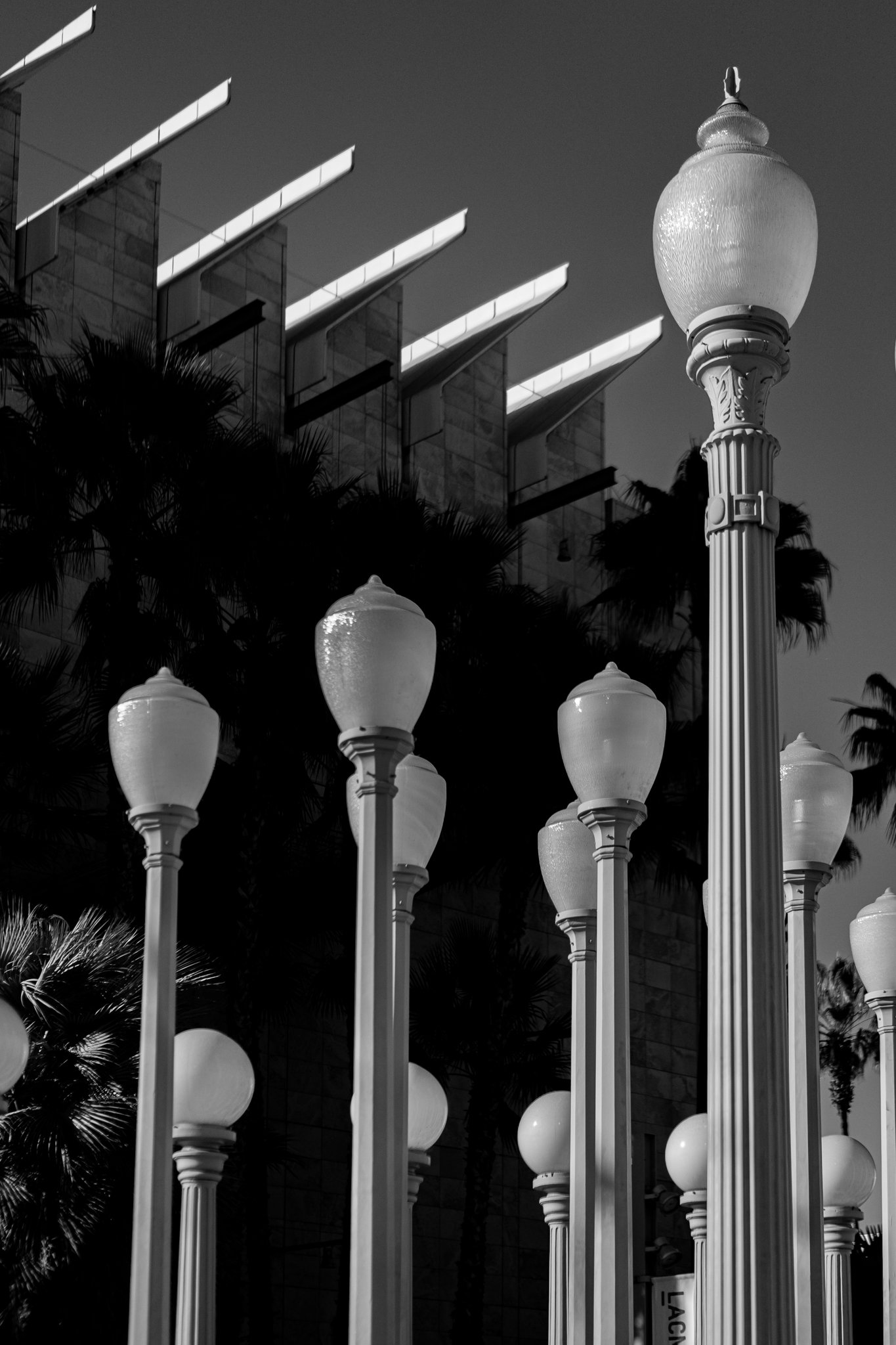 11-20-24 4220 LACMA Lamps-07.jpg