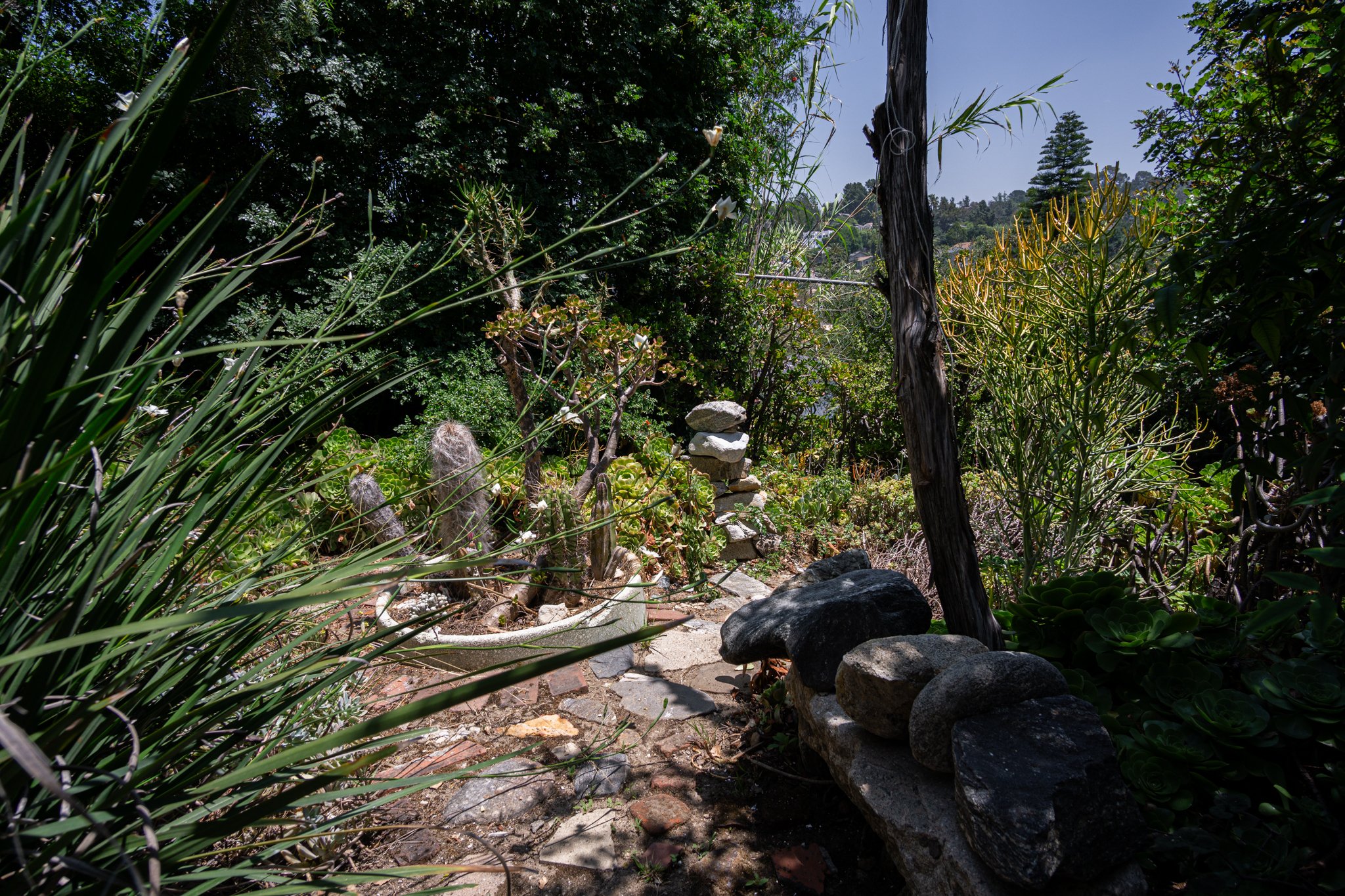 6-12-24 6010 Eucalyptus Ln-118.jpg