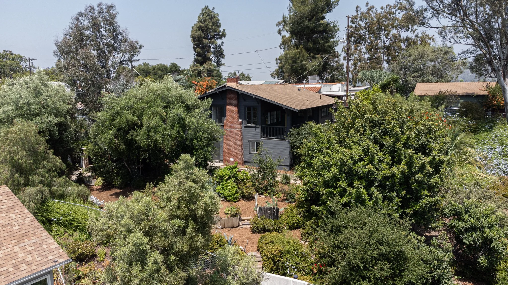 A residential neighborhood with a dark gray house partially visible behind dense trees and shrubs, with a red brick chimney, surrounded by a backyard garden, at midday with sunny weather.