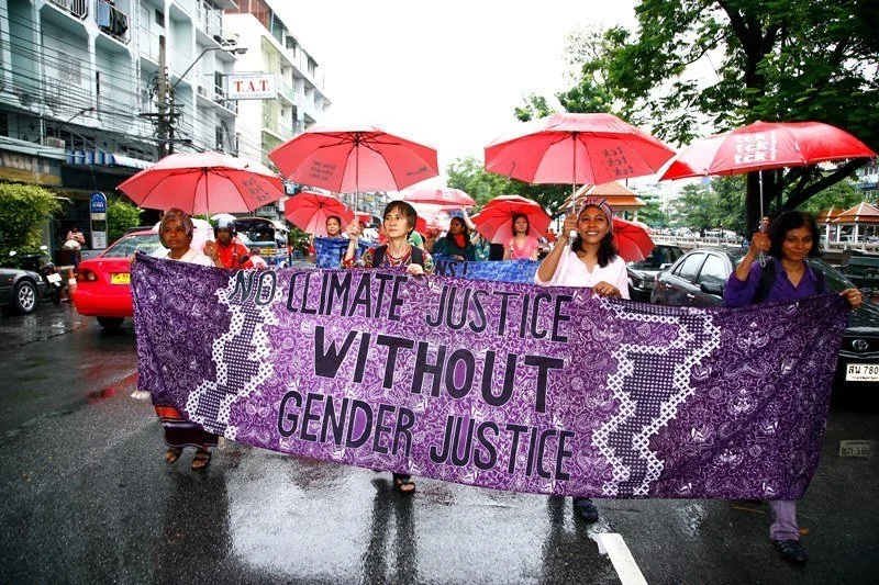 Disproportionate Gender Impacts of Climate Change in Developing Nations