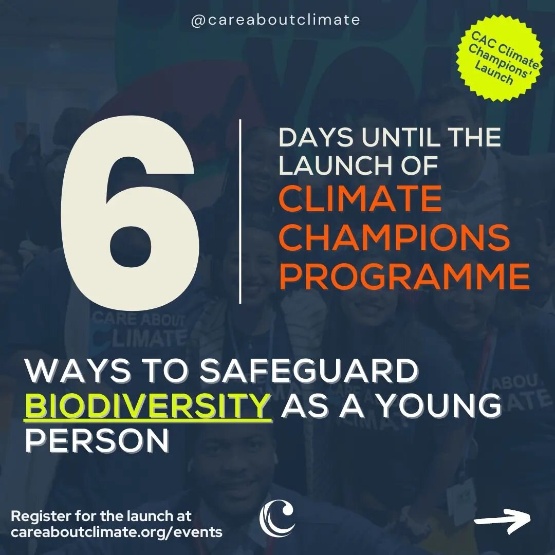 Are you passionate about biodiversity conservation but confused where to start? We have a few pointers for you to help safeguard niodi #biodiversity as #youngpeople.

With 6 days to go till the launch of our Climate Champions Program, we are pumped t