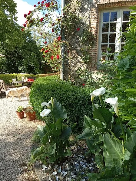 8 The Priory Garden (1).jpg