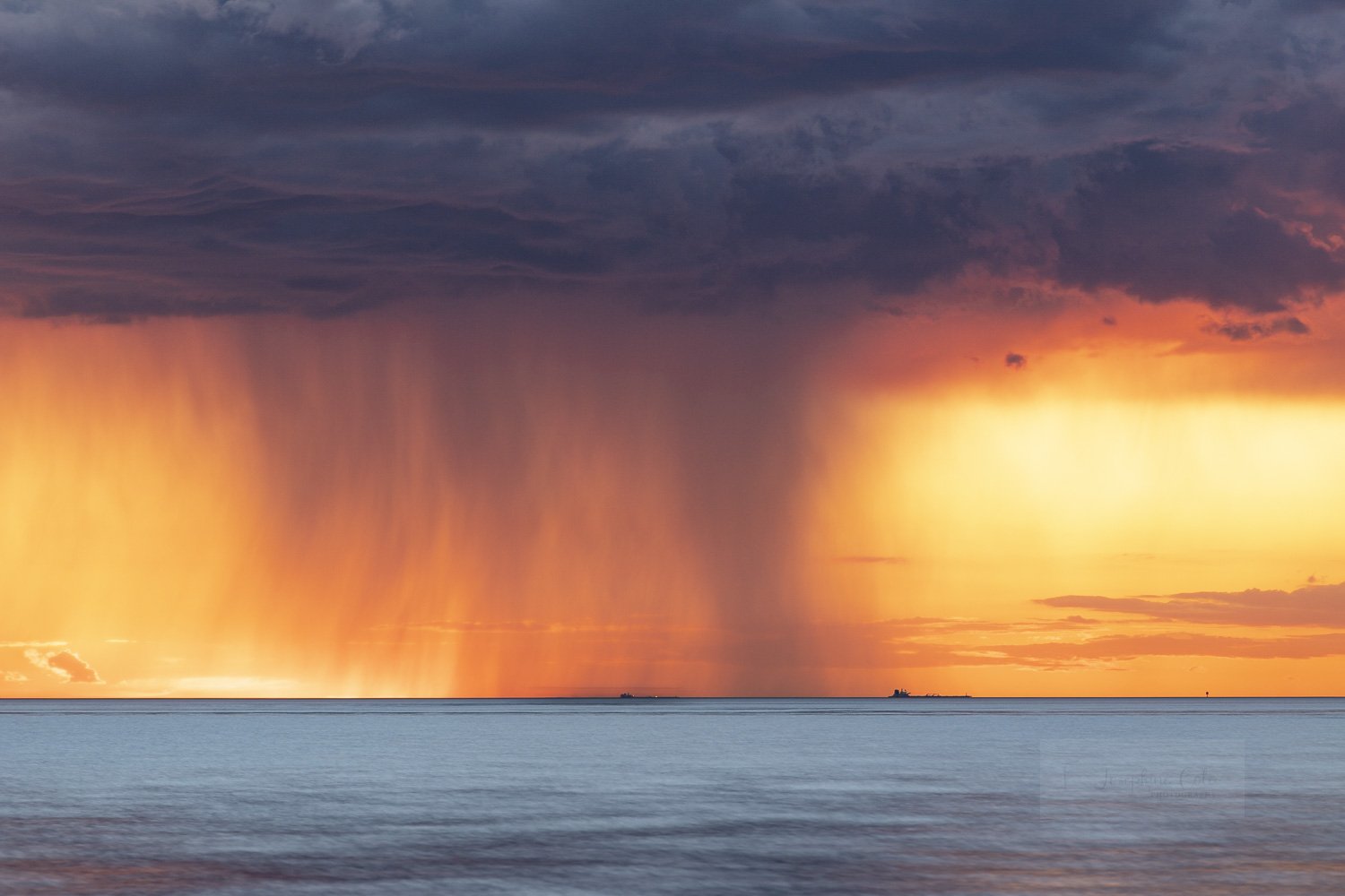 Spring Rain-9763.jpg
