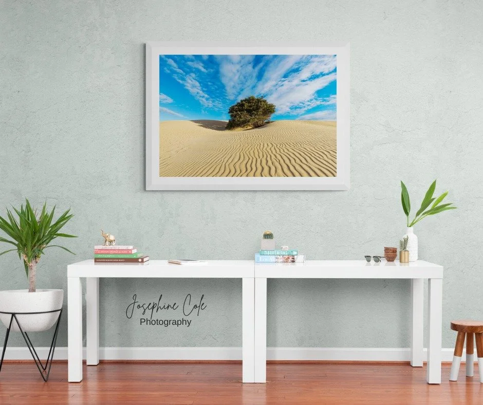 This print available in my gallery or on my website.
Limited to 50 editions.
Prints available on Fine Art Paper - unframed or framed, also available on canvas with a boxed frame.
Thank you for your support.
website: www.josephinecolephotography.c