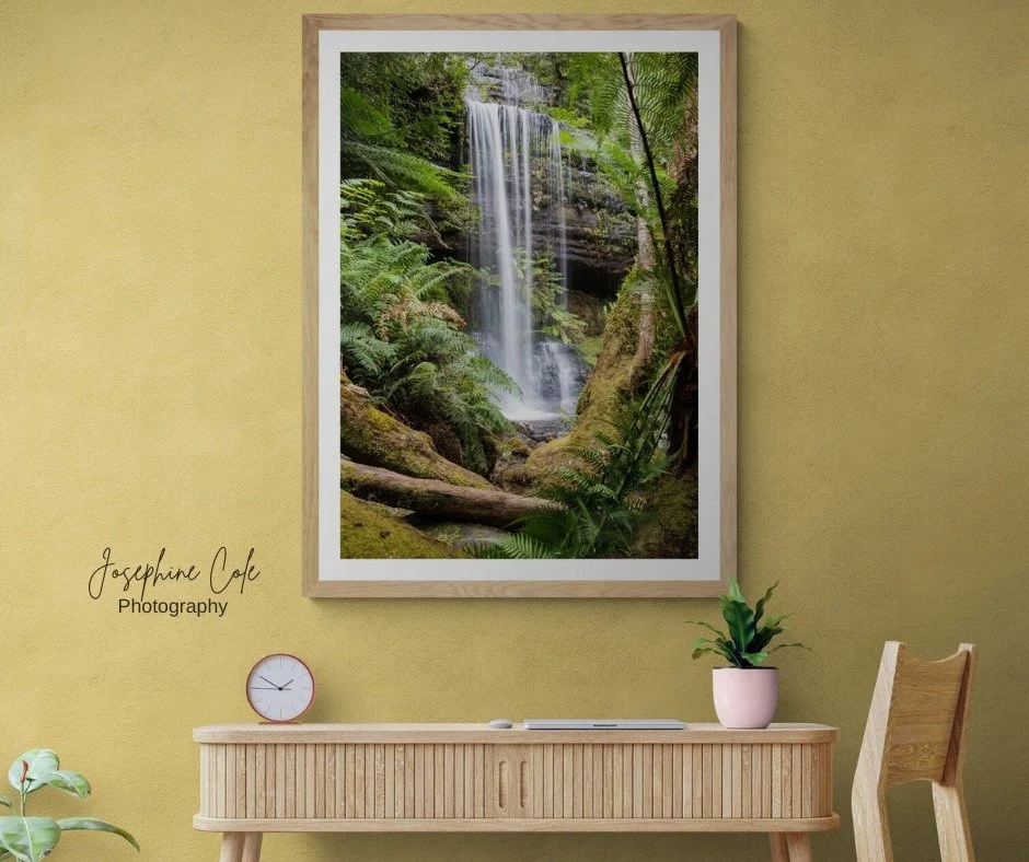 This print available in my gallery or on my website.
Limited to 50 editions.
Prints available on Fine Art Paper - unframed or framed, also available on canvas with a boxed frame.
Thank you for your support.
website: www.josephinecolephotography.c