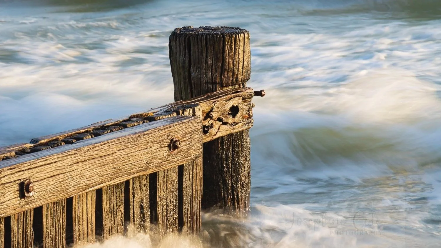 Old Remains, Mentone