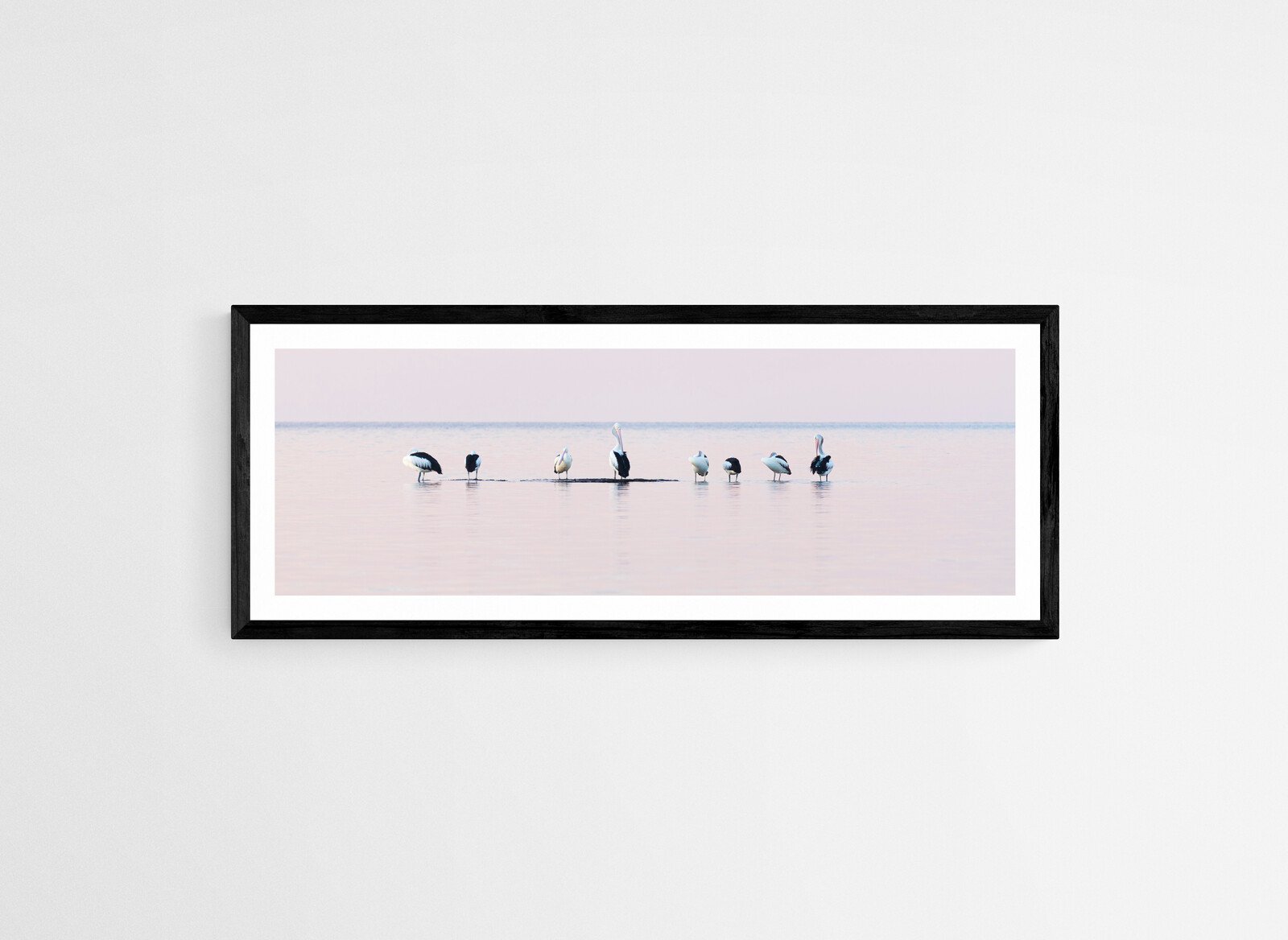 Pelicans Black.jpg