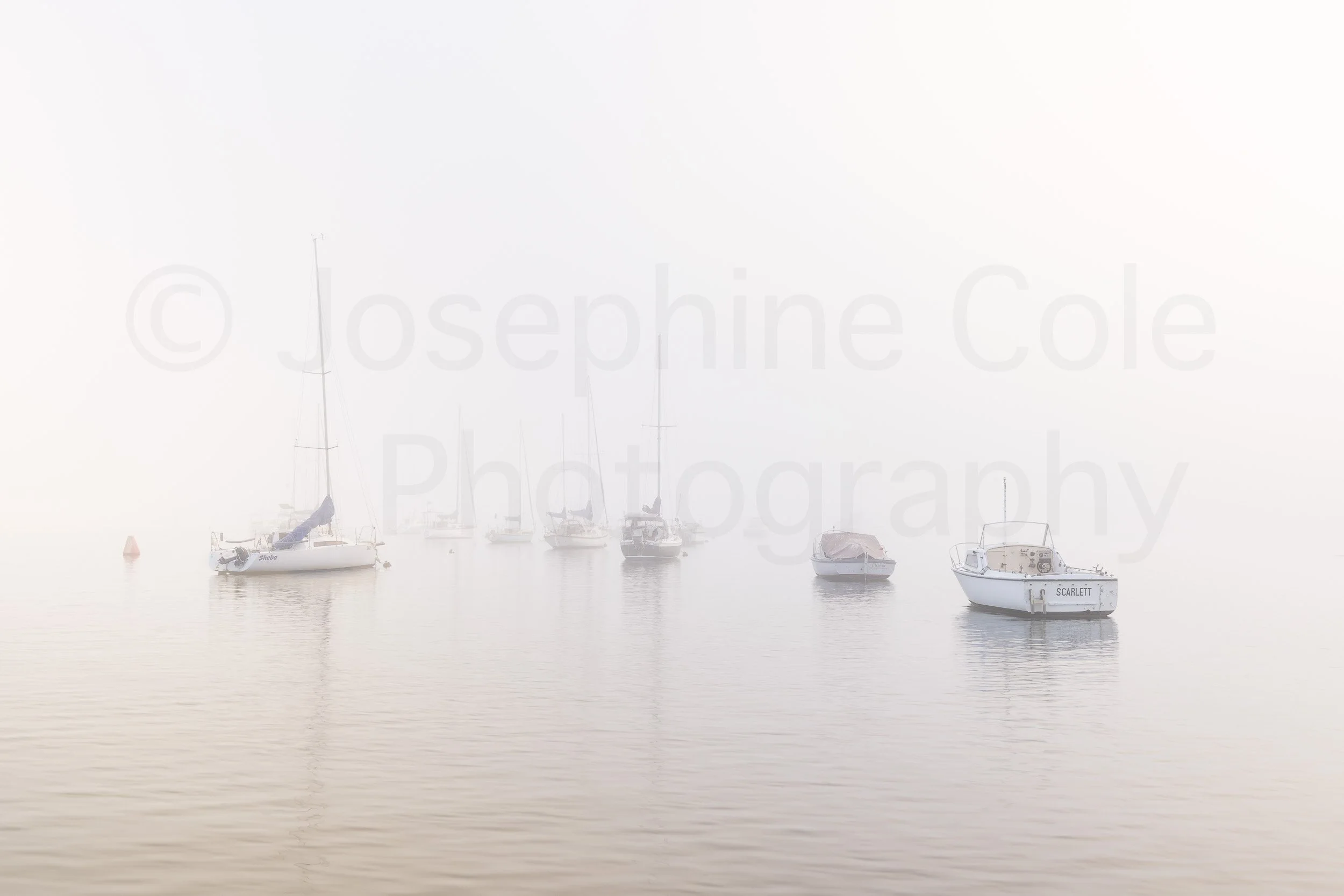 Sandy Fog W-8453.jpg