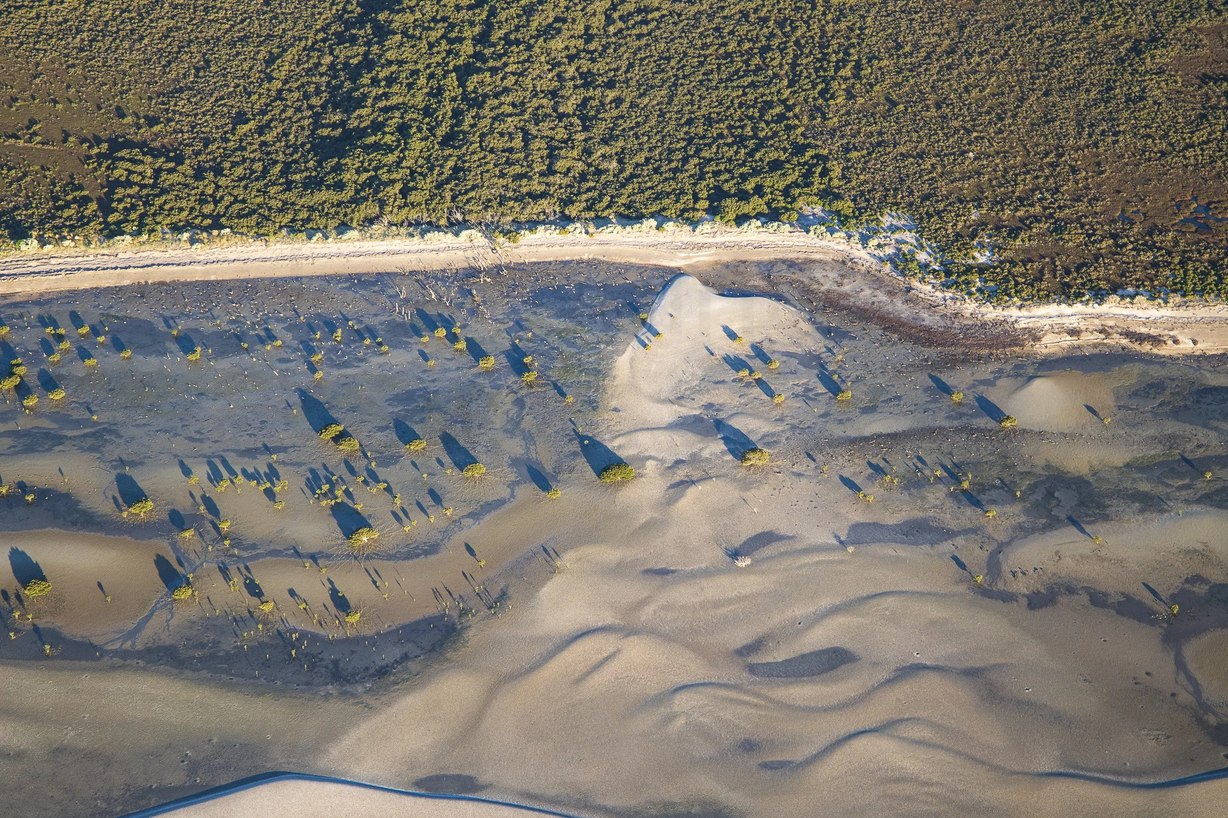 French W 1-3942.jpg