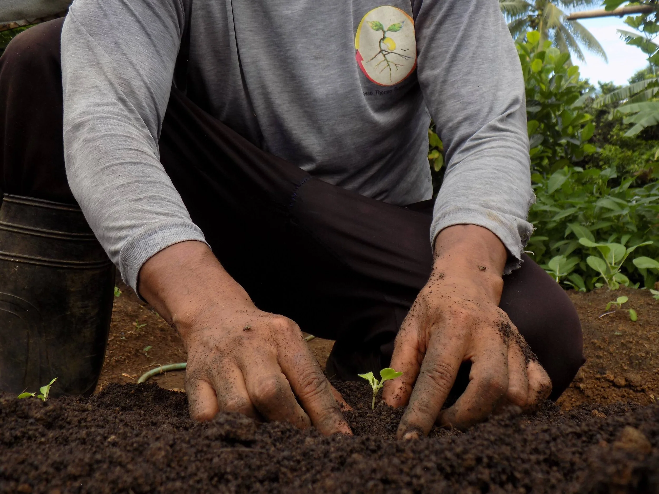 Transplanting using Dr. Bo's Super Compost