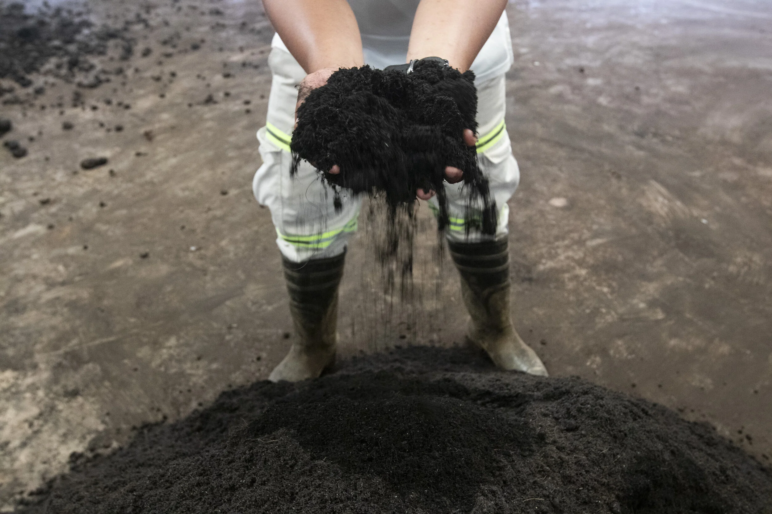 Dr. Bo's Enriched Potting Mix prior to bagging