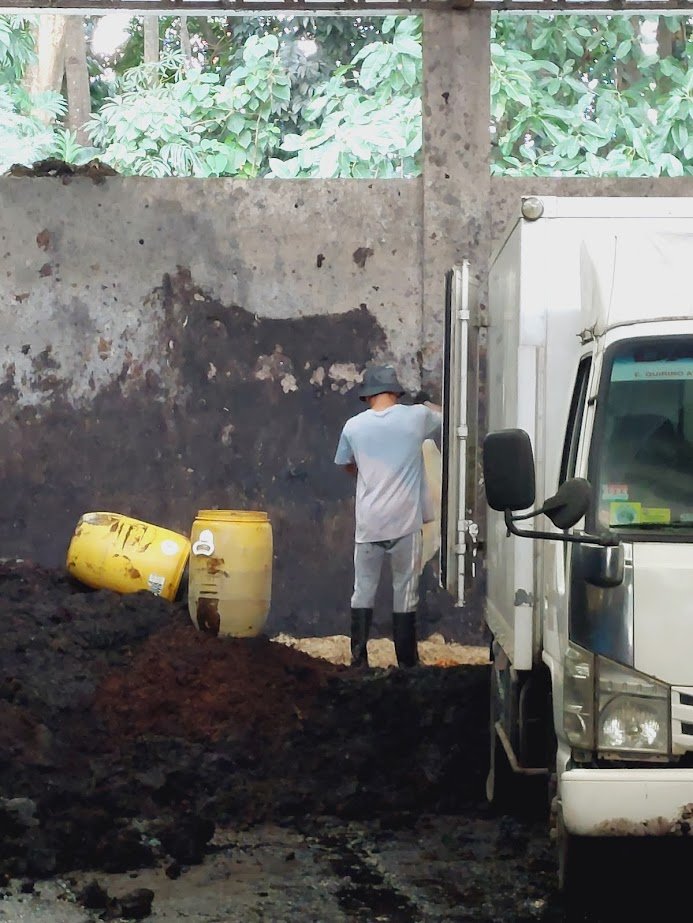 Yellow drums are unloaded in the composting bays.
