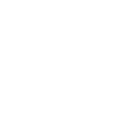 SOPHIE TAYLOR DESIGN