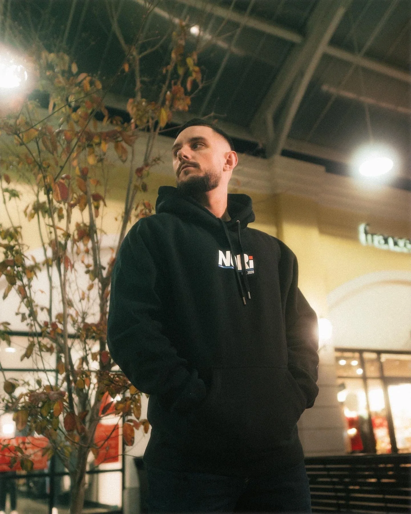 Pillars Hoodie — Nori Powerlifting