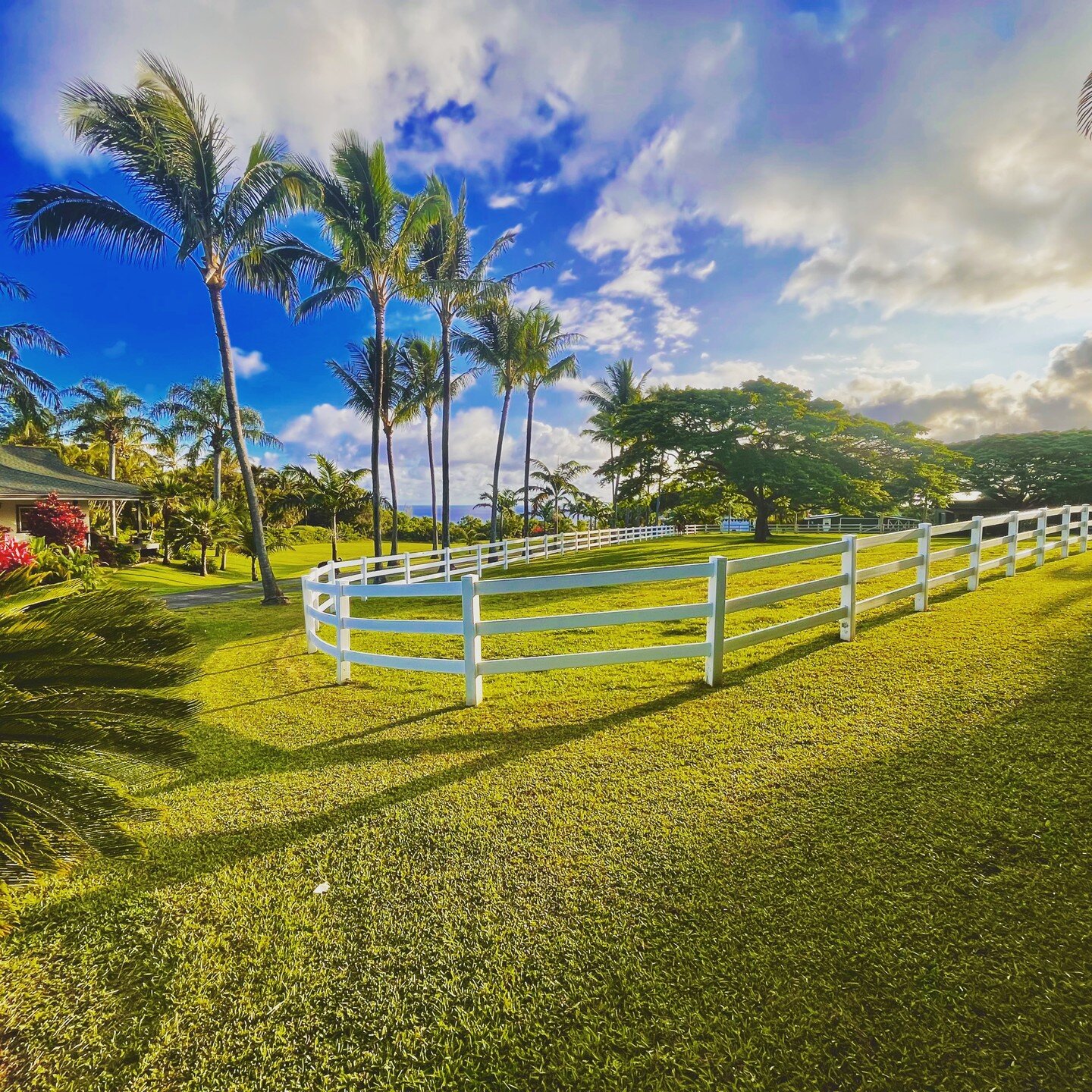 Its a beautiful morning in Pe'ahi, and clients are stoked their lawns are looking mow bettah&trade;! Are yours?

If you need you lawns looking their best, then give us a call and see why we're one of the top rated lawn care companies on Maui! 

North