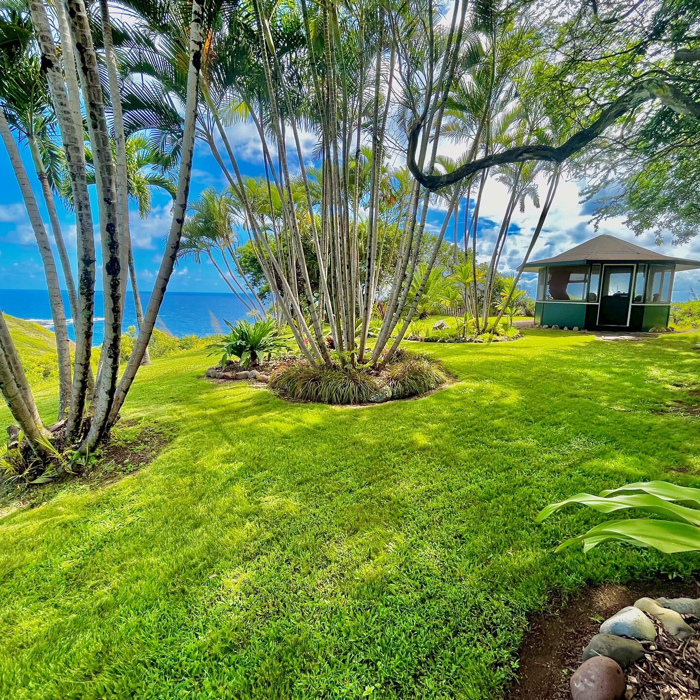 Clients on Manawai are stoked their lawns are looking mow bettah with all this late season Haiku rain!! 💦🌈

Give us a call if you need yours looking their best! 

#wemowbettah #luckywelivehawaii #hawaiilife #mauilife #mauilifestyle #mauinokaoi #law