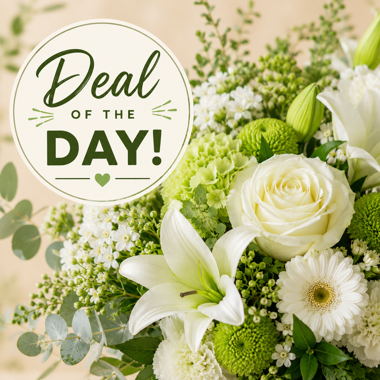 Deal of the Day (Green and White)