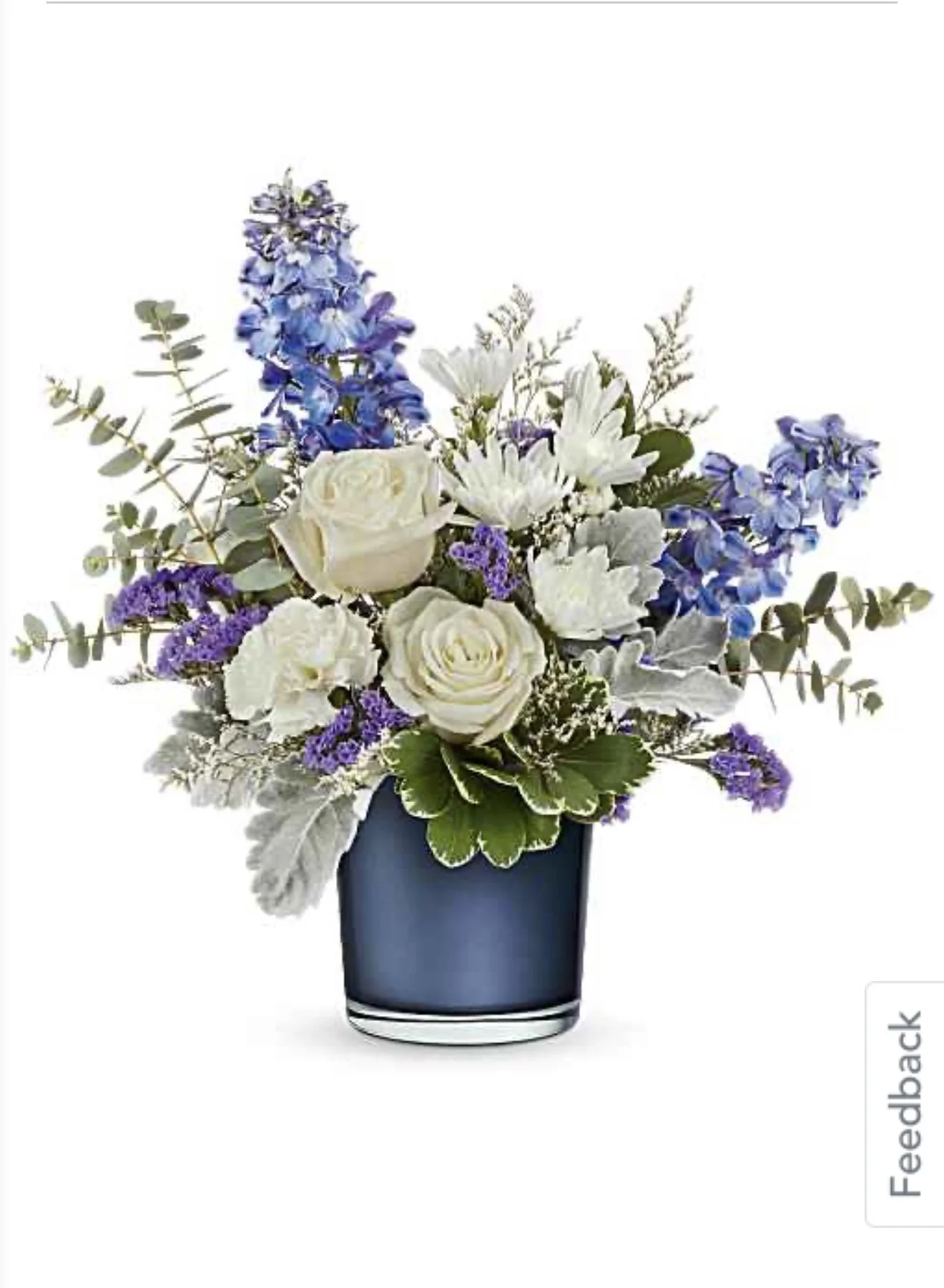 IMG_3206.PNG