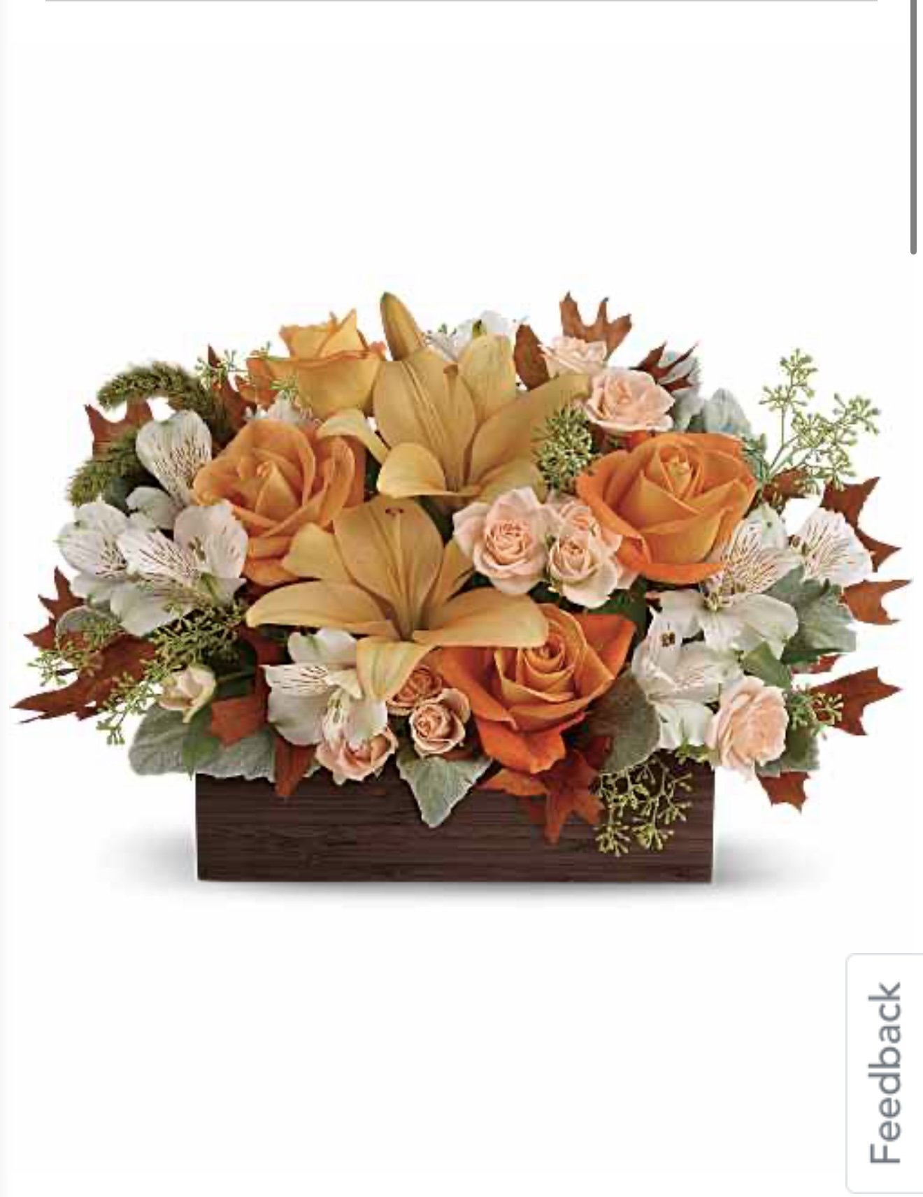 IMG_3189.PNG