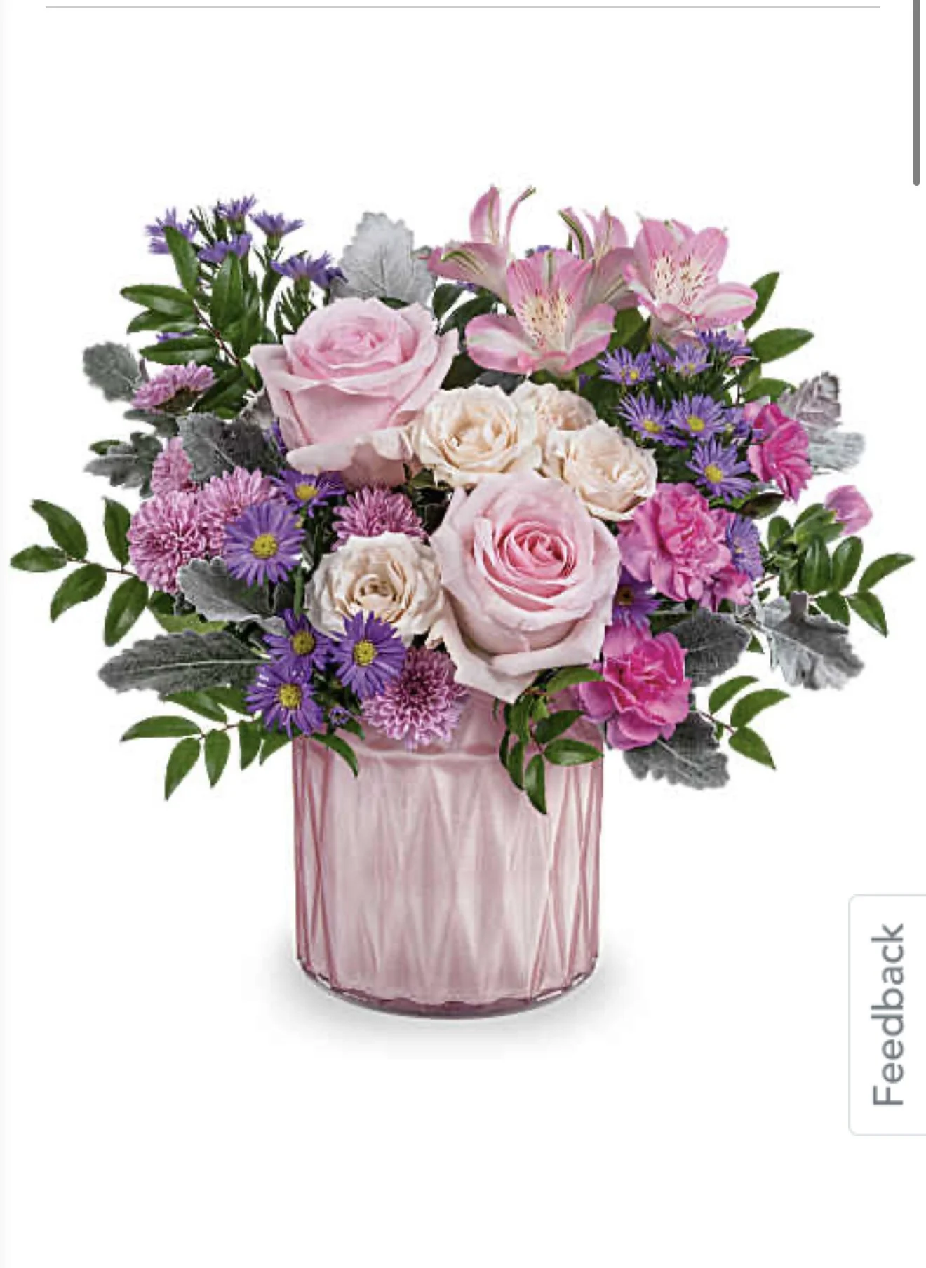 IMG_3197.PNG