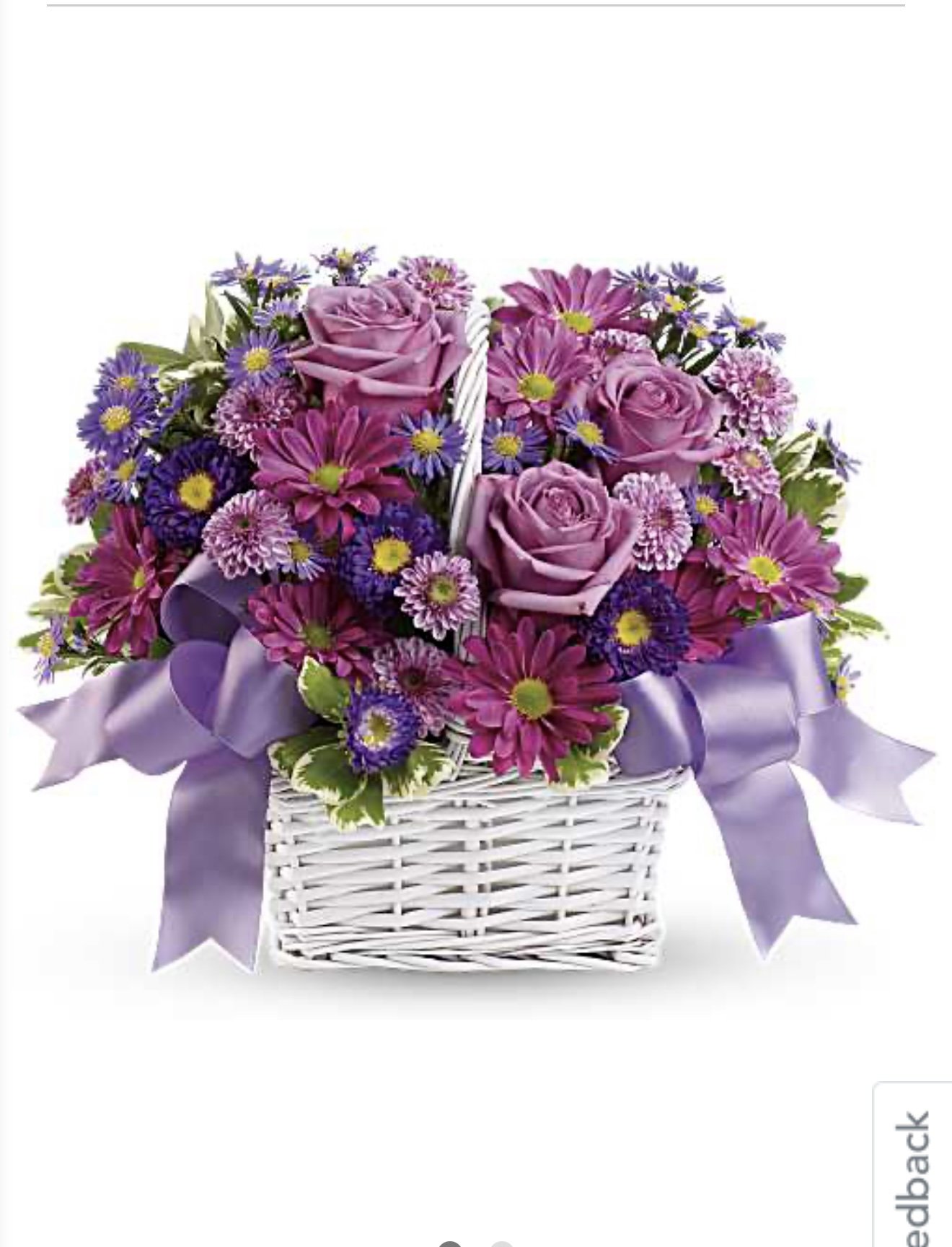 IMG_3203.PNG