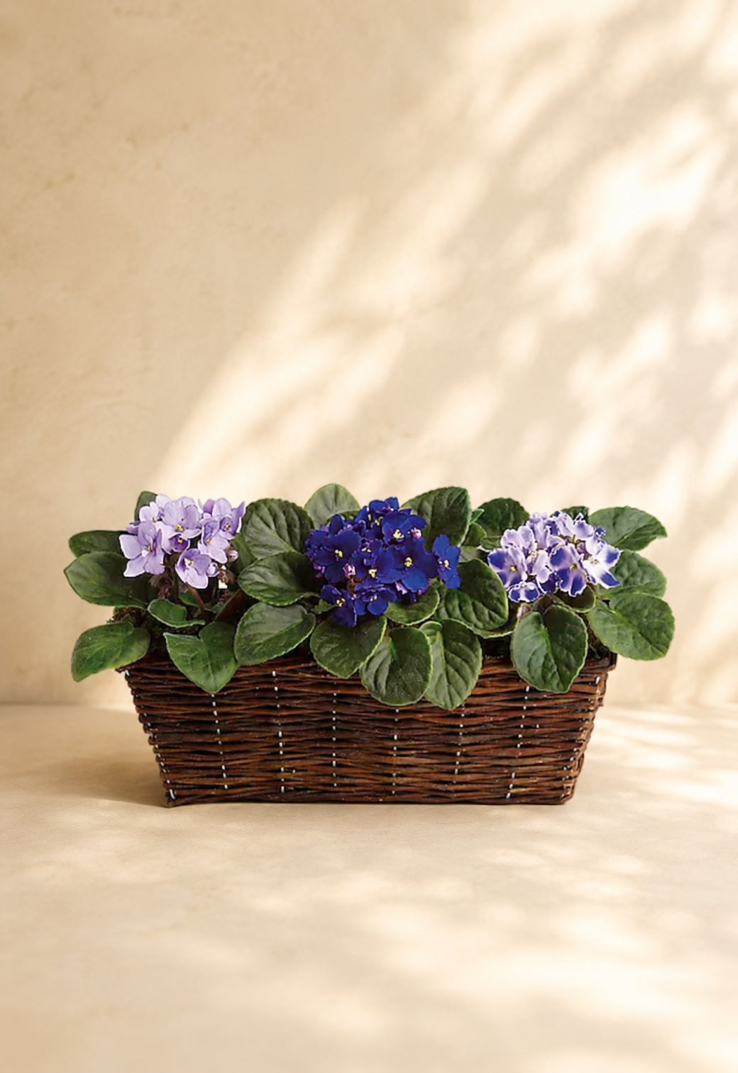 African Violet Basket
