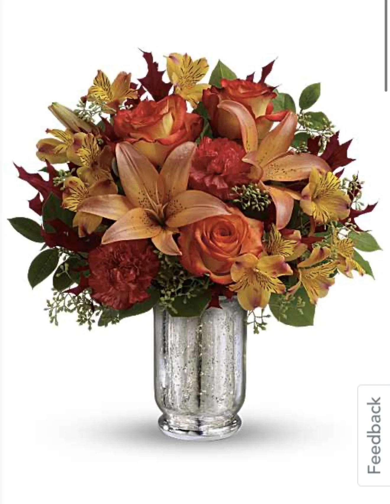 IMG_3188.PNG