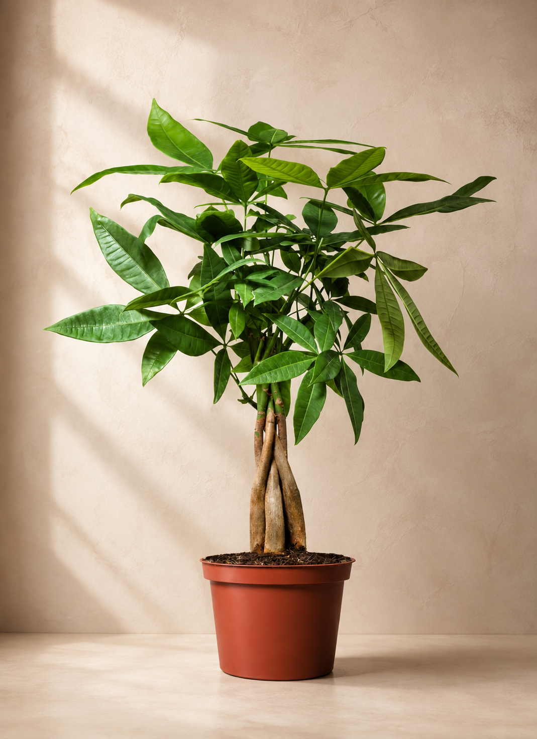 Prosperity Money Tree
