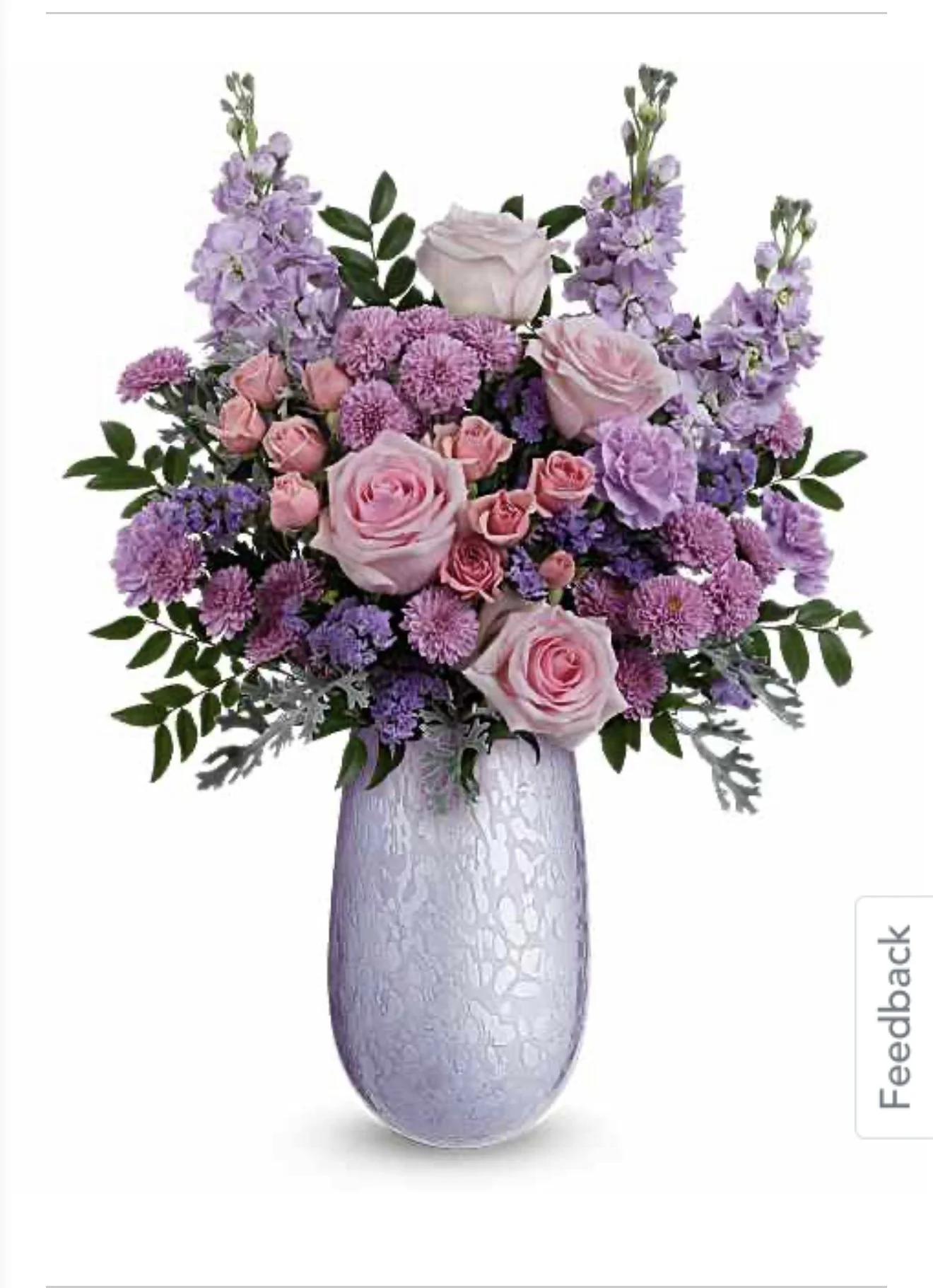 IMG_3200.PNG