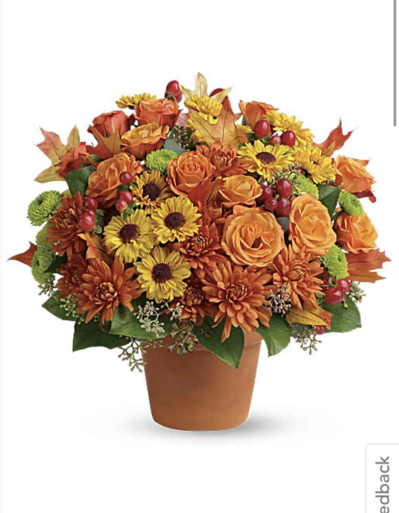 IMG_3179.PNG
