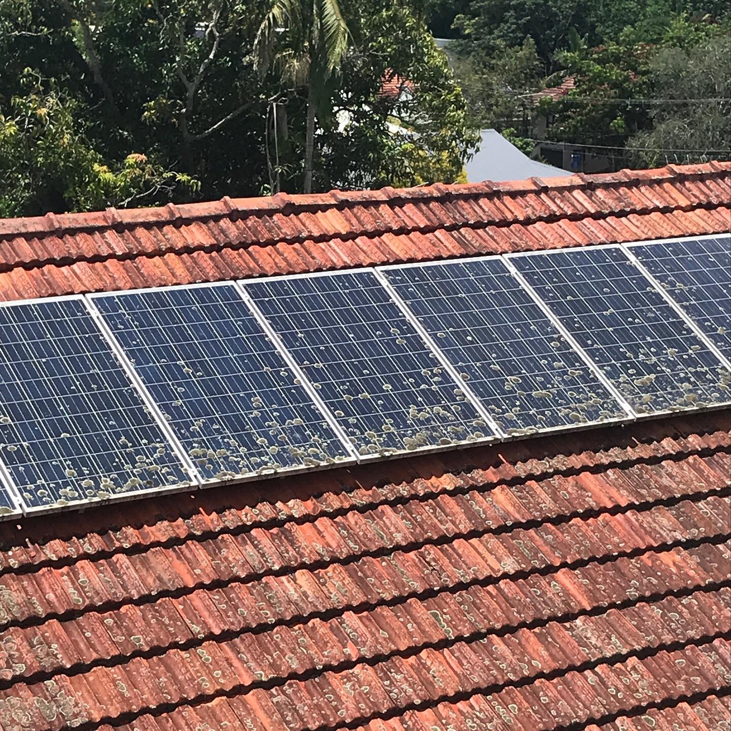 Did your realise, the cleaner your solar panels are the more efficiently they will work ? I have noticed an immediate increase in production of 15 % increased output after cleaning a set of dirty solar panels. The panels in this picture would be losi