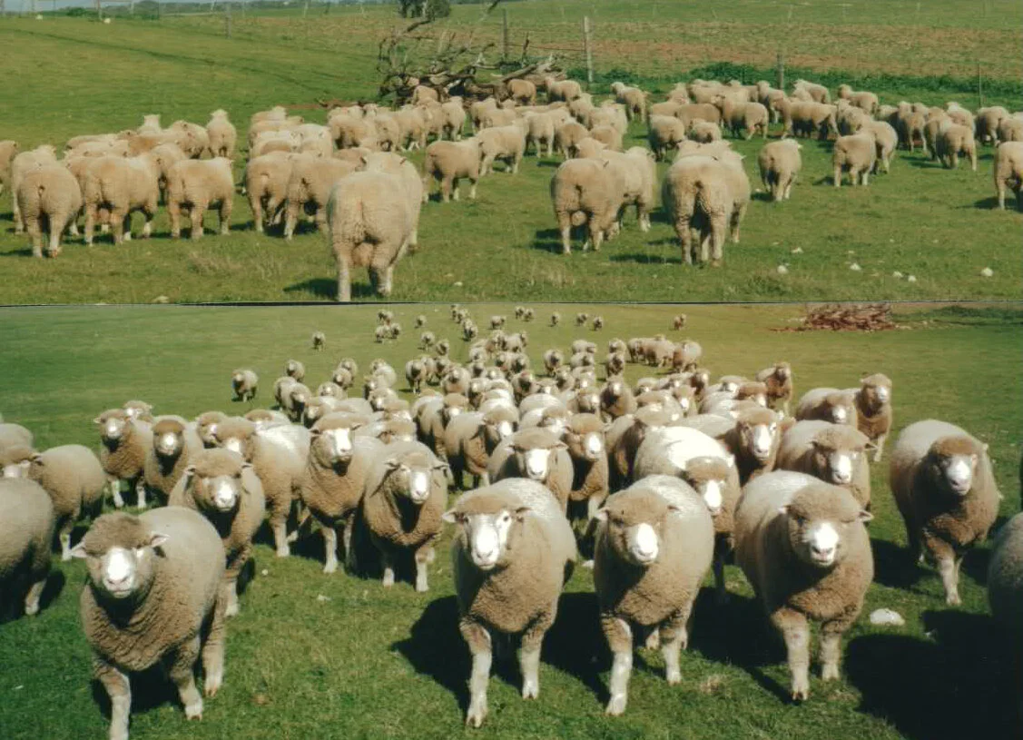 img-200809182712.jpg