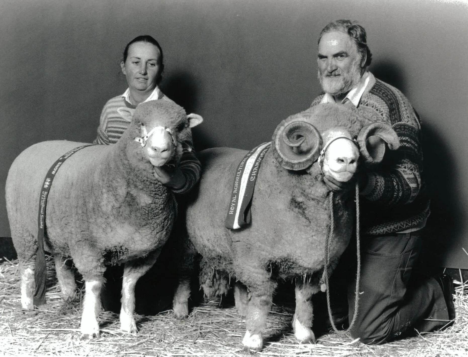 Mary Burzacott pictured with a first prize Poll Dorset Ewe under 1.5 years in the wool and Kevin Burzacott pictured with Champion Dorset Horn Ram under 1.5 years in the wool at the Royal Adelaide Show 1992.