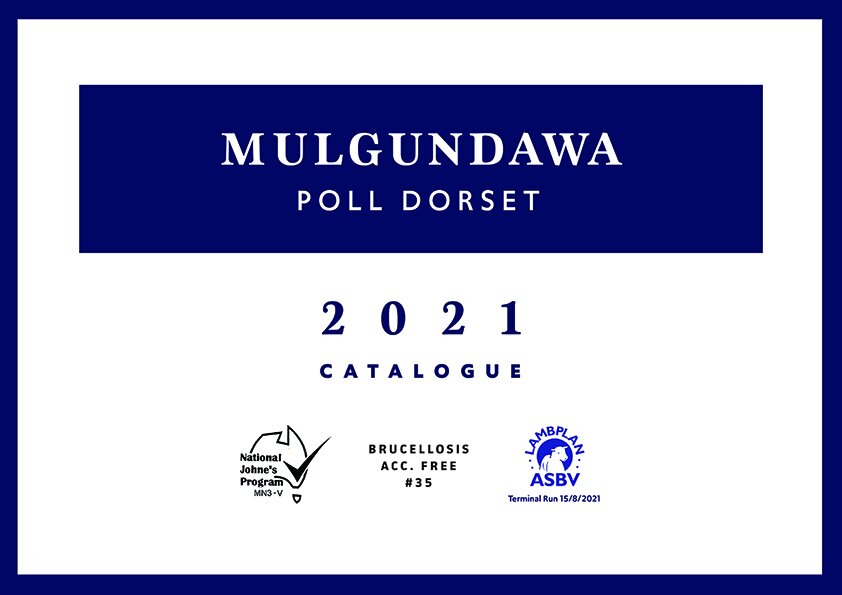 Mulgundawa Sale Catalogue Cover Image.jpg