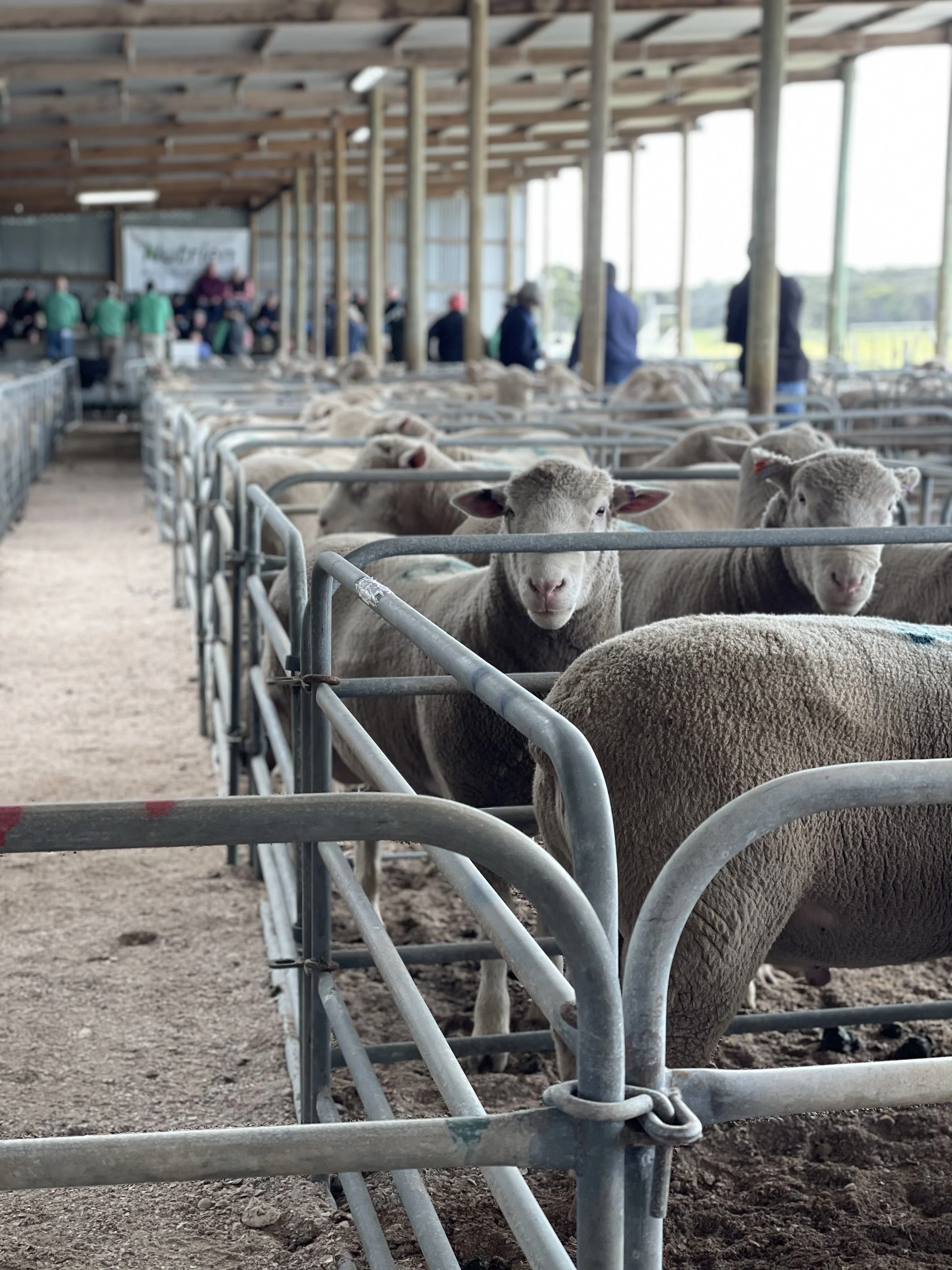 28th Annual Sale