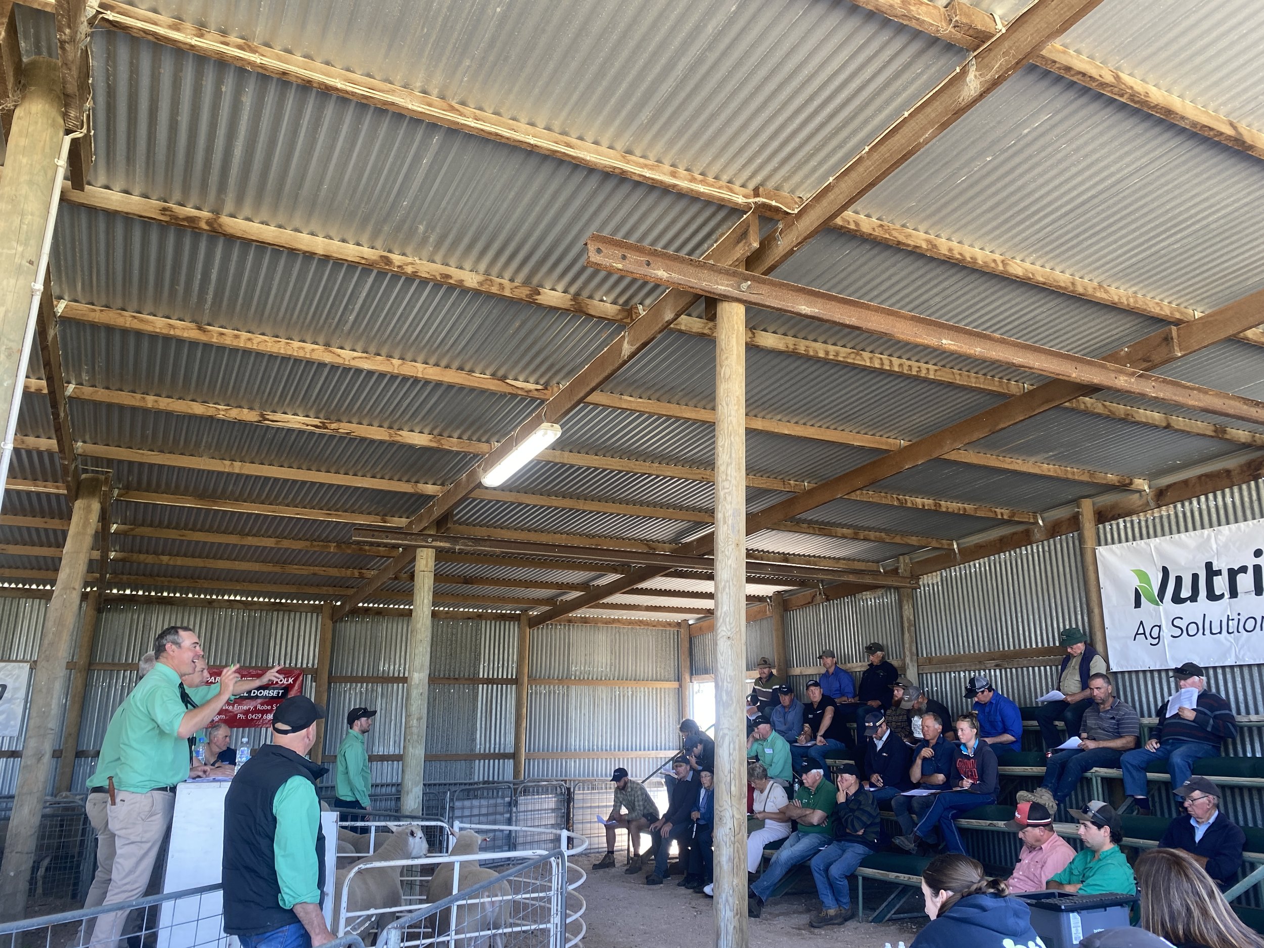 RichmondPark _Mulgundawa_Stud_2023_Sale_4.JPG