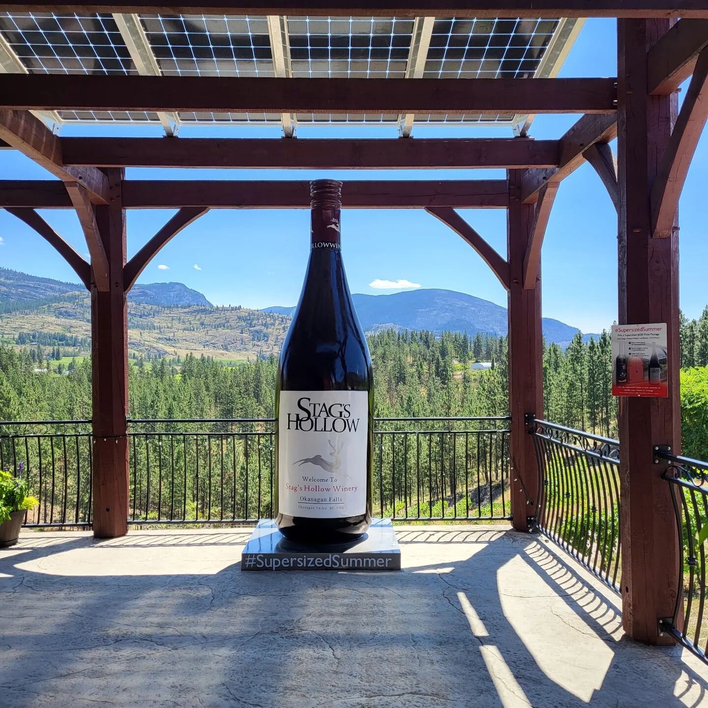 I love how Stag's Hollow Winery is providing some shade on their patio with solar panels. Well done @stags_hollow_winery 👏👏👏🥂
#sustainability #sustainablebusinesspractices #renewableenergy #sustainablewinery #greenbusiness #solarpanels #offthegri