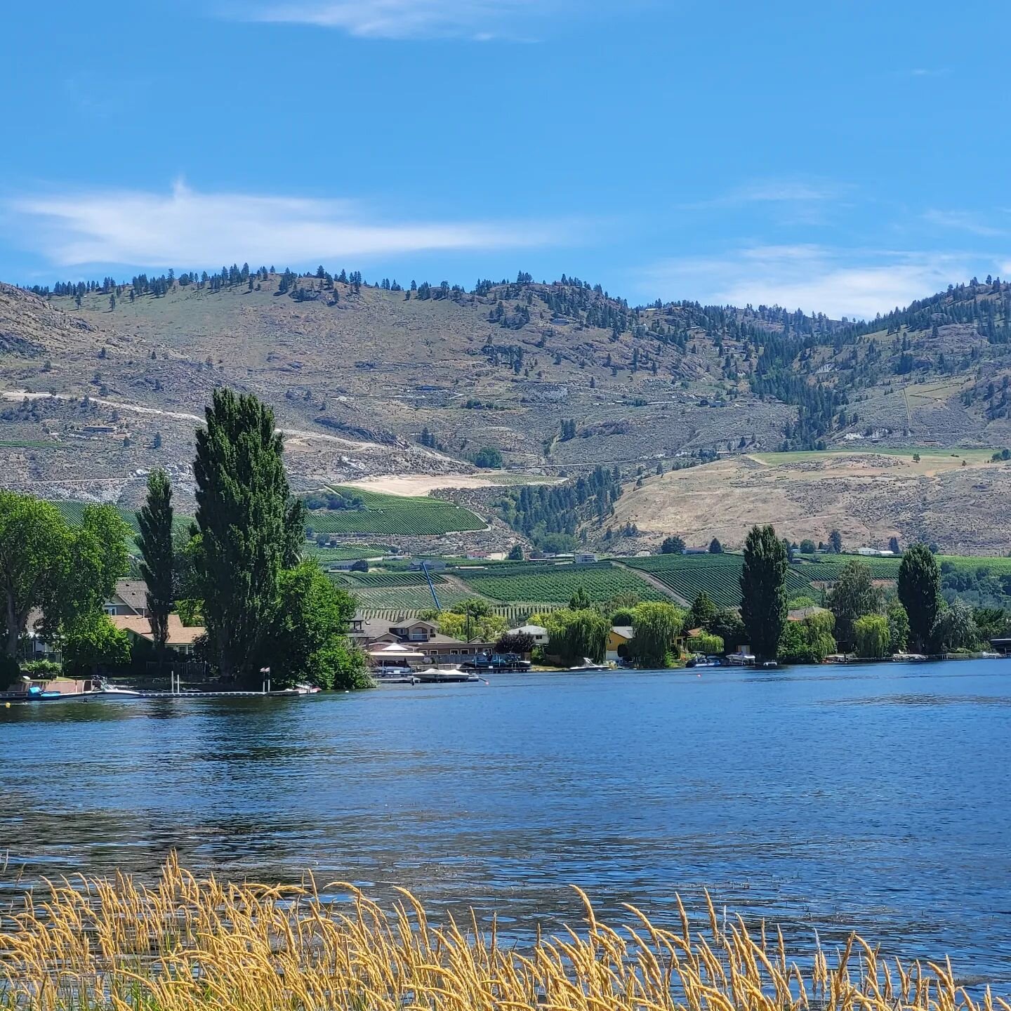 Beautiful day in Osoyoos 😍🥂
#winecountry #uniqueblendtours #osoyooslake #osoyoosbc #winetour #winetourism #wineries #vineyard #resorttown #vacation #travel #travelwinecountry #traveltourism