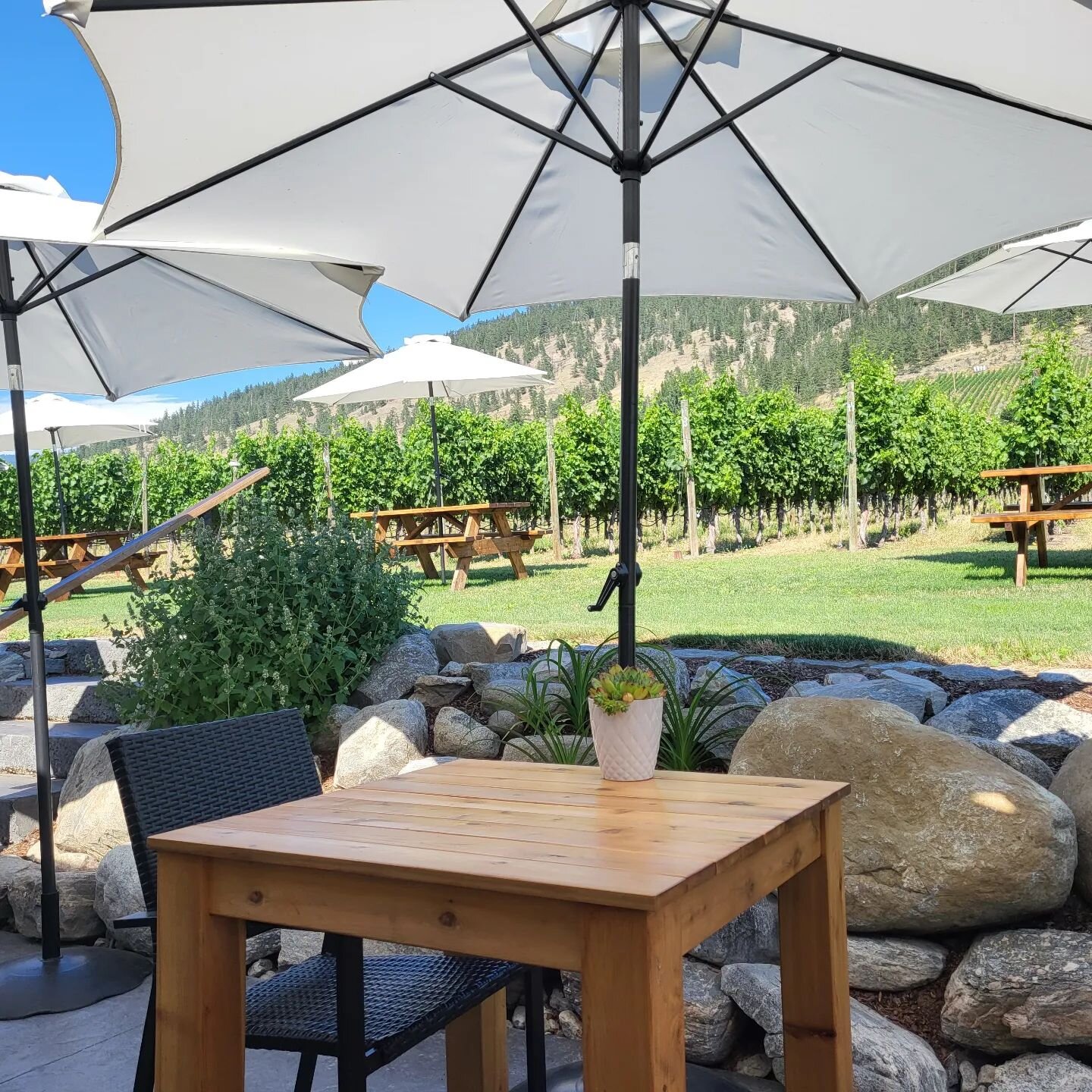 Gorgeous patio @fourshadowswinery 
Thank you for the wonderful tasting.
#winetasting #naramatabench #naramata #penticton #patio #patiovibes #vineyard #vineyardviews #winetourism #tourism #bcwine #bctourism #bctourismmatters #summerinwinecountry #uniq