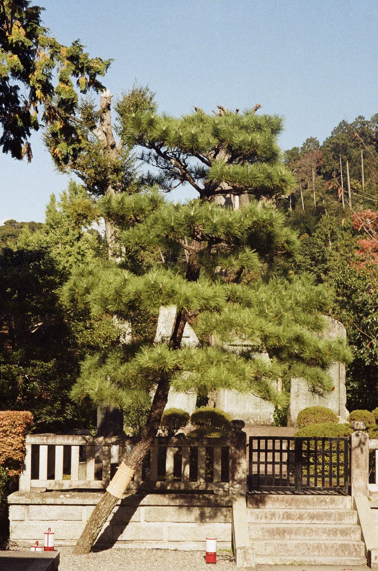 000678150034-编辑.jpg