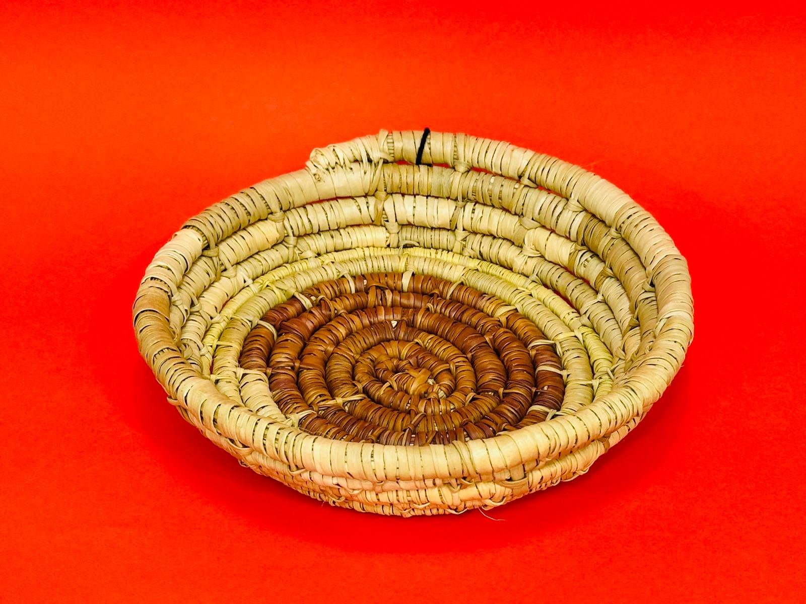 WhatsApp Image 2026-02-21 at 2.45.55 PM.jpeg