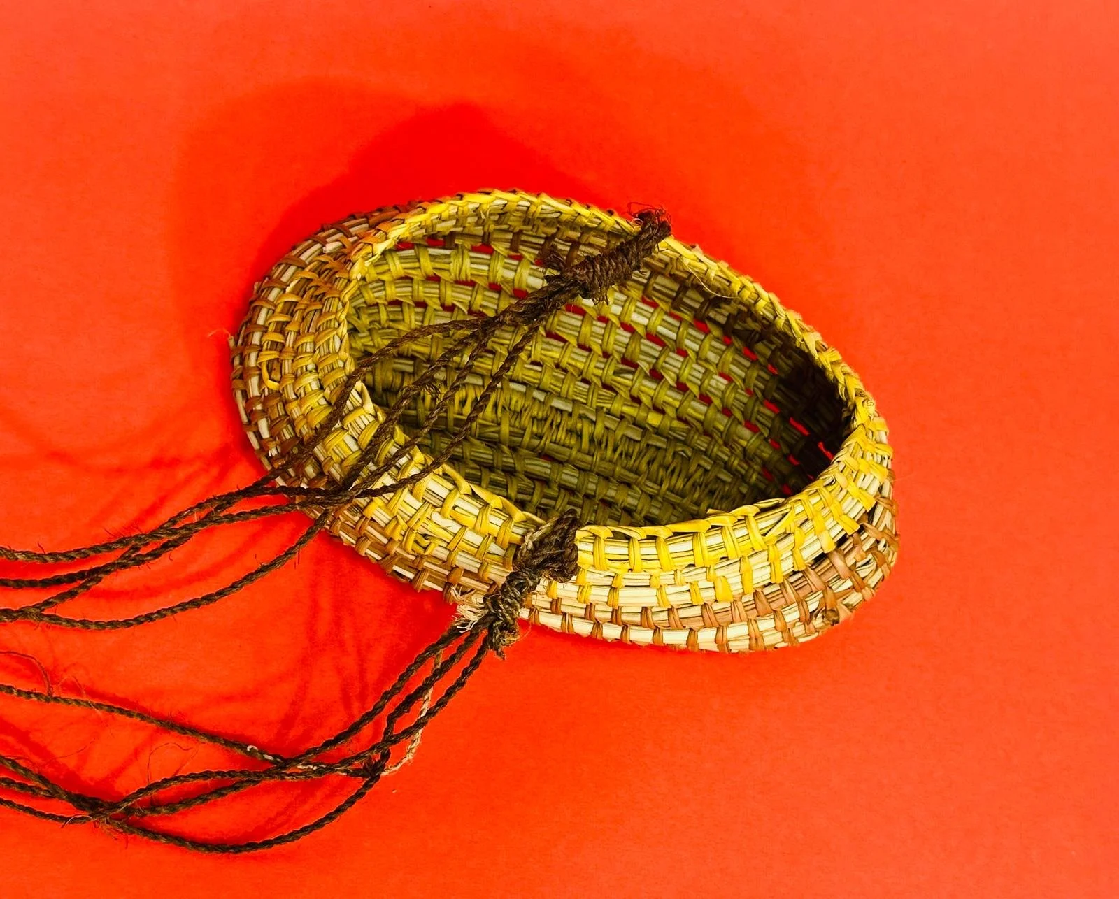 WhatsApp Image 2026-02-21 at 2.45.55 PM (3).jpeg