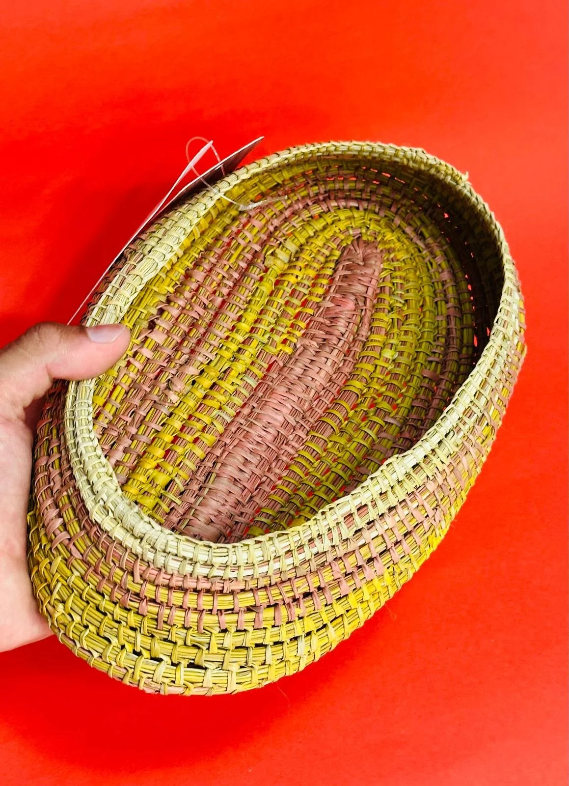 WhatsApp Image 2026-02-21 at 2.45.55 PM (5).jpeg