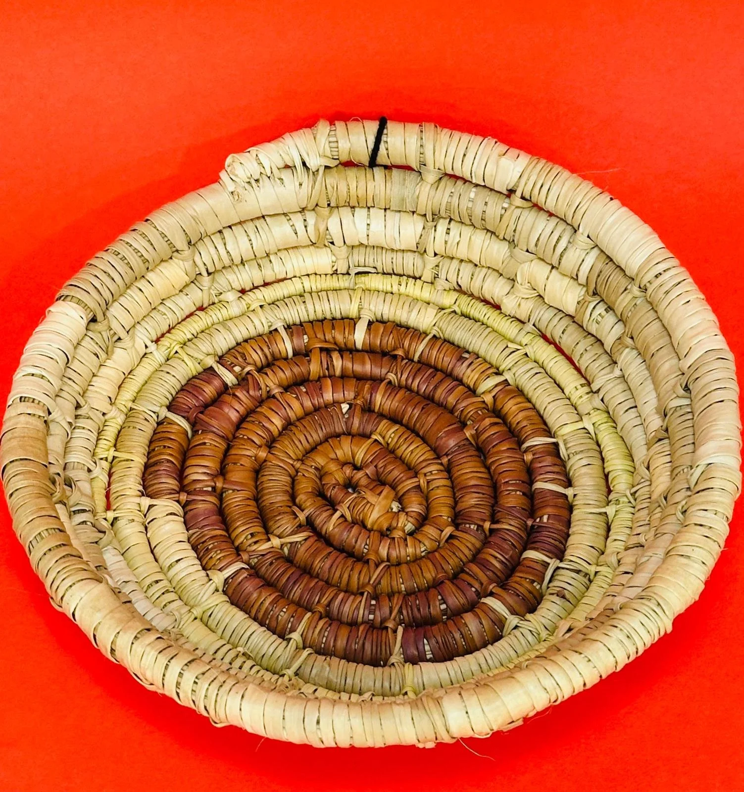 WhatsApp Image 2026-02-21 at 2.45.55 PM (1).jpeg