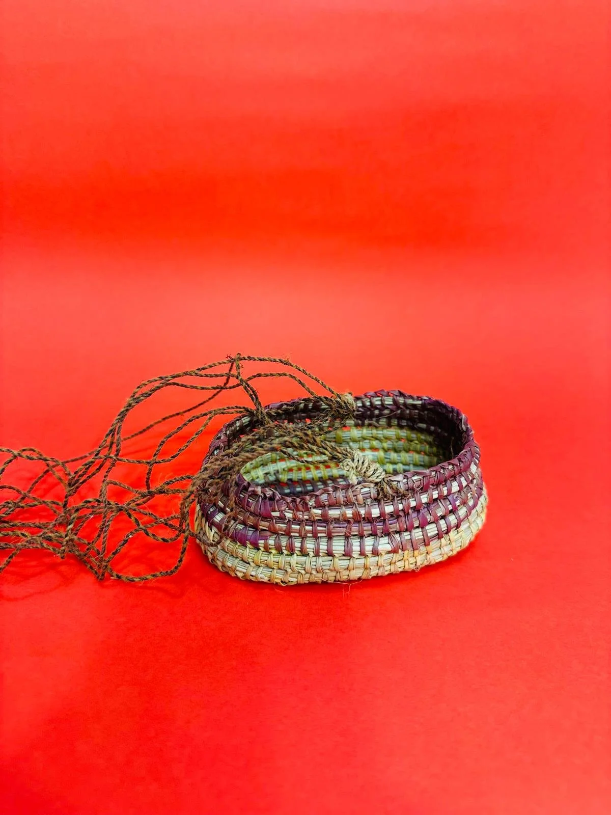 WhatsApp Image 2026-02-21 at 2.45.54 PM.jpeg