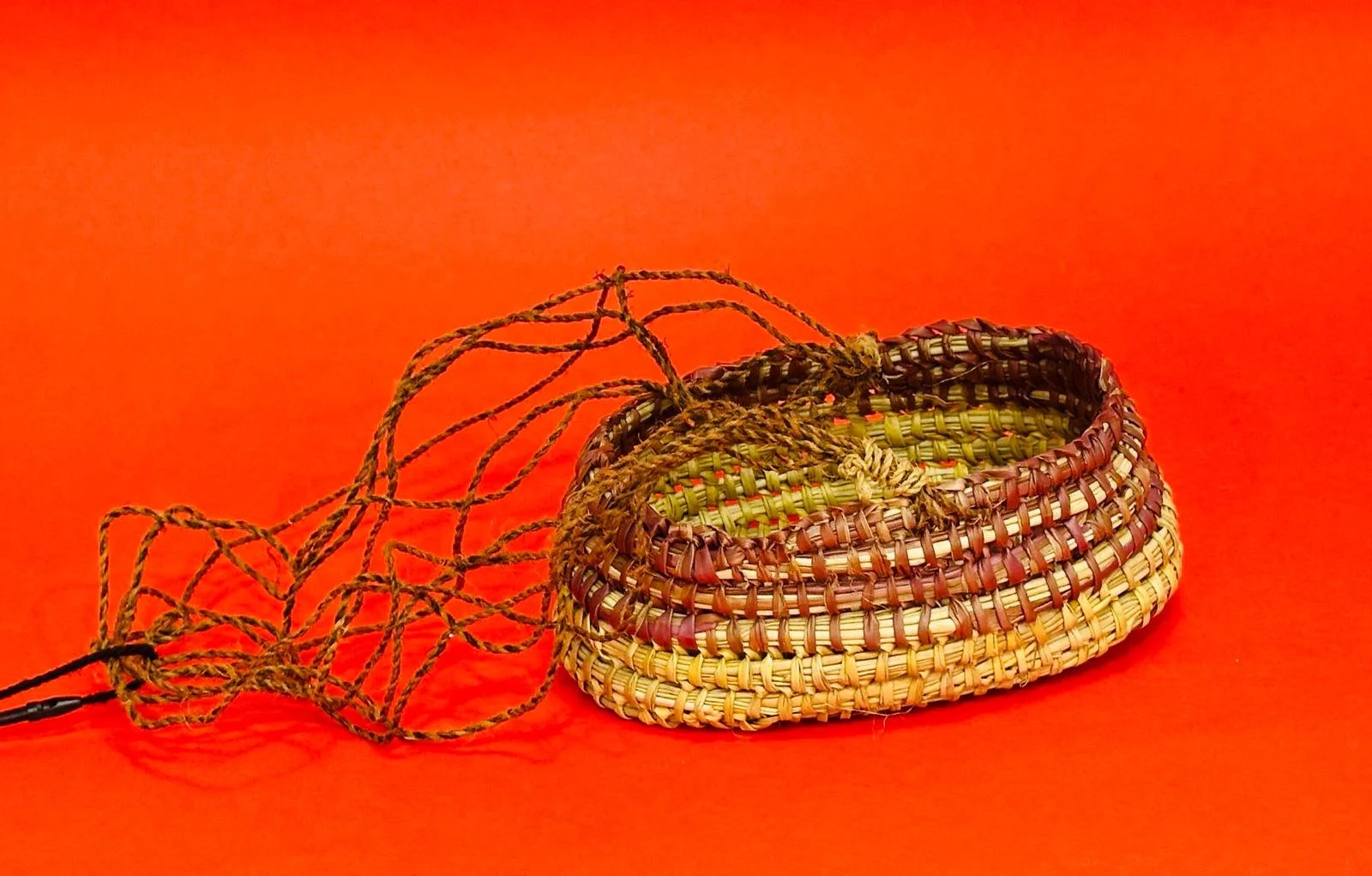 WhatsApp Image 2026-02-21 at 2.45.54 PM (1).jpeg