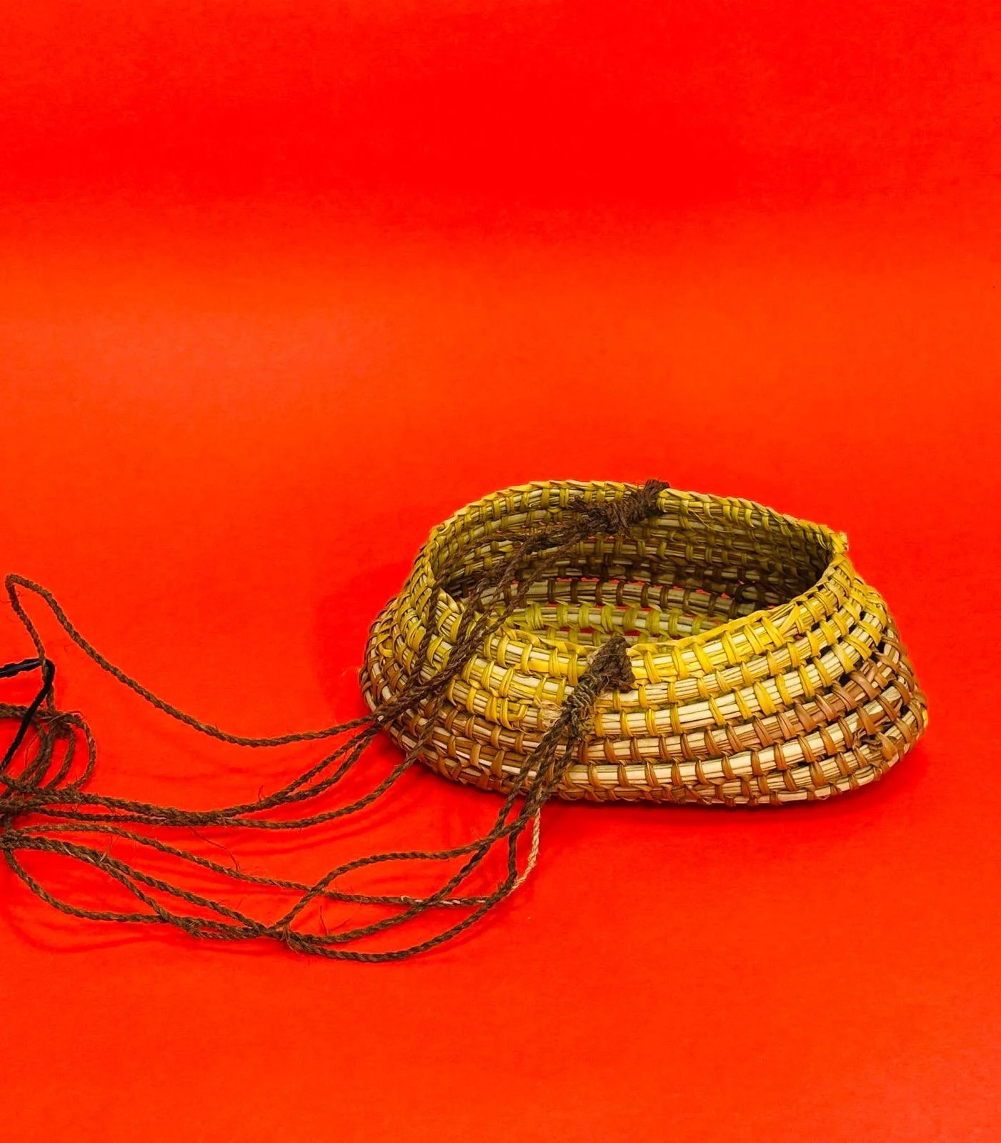 WhatsApp Image 2026-02-21 at 2.45.55 PM (2).jpeg