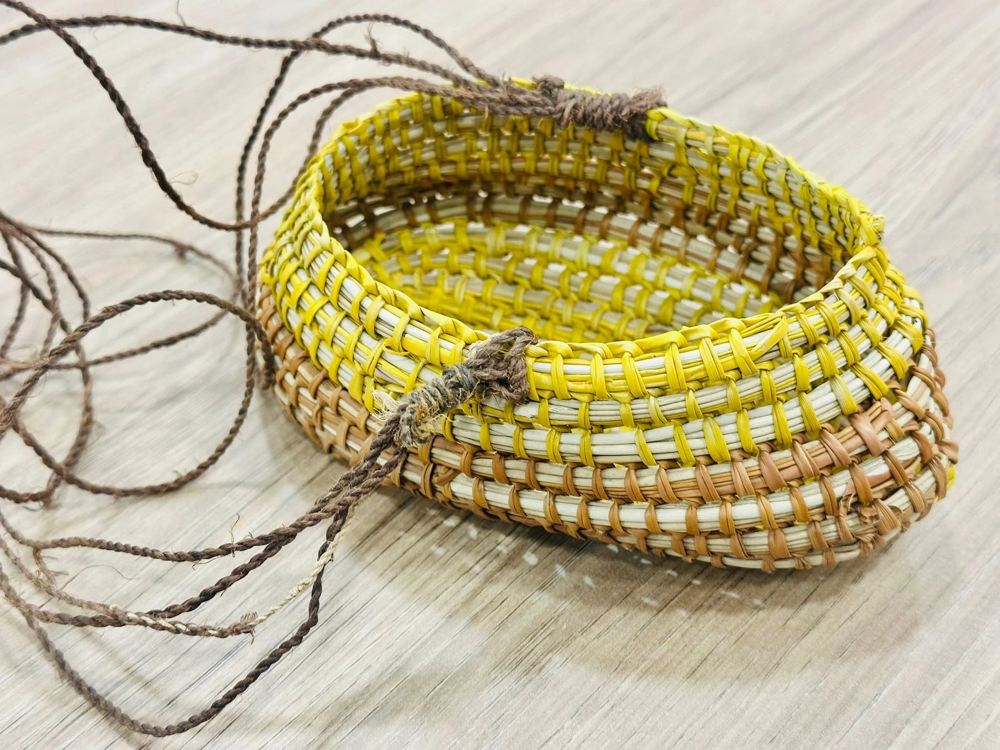 WhatsApp Image 2025-12-20 at 3.02.39 PM (2).jpeg