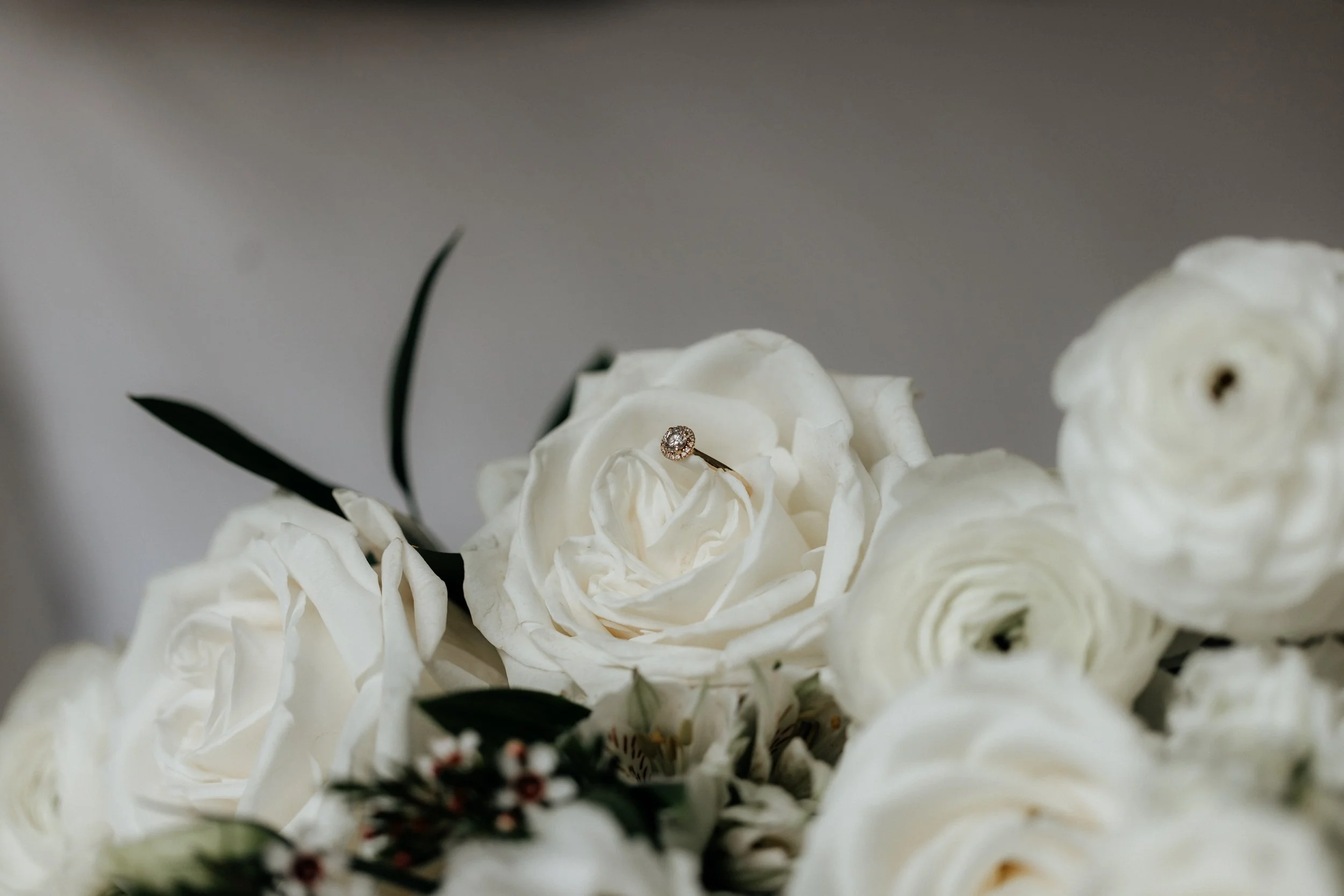 Jess & Reuben_Intimate Wedding_Albany_2022_Holly Medway Photography-15.jpg